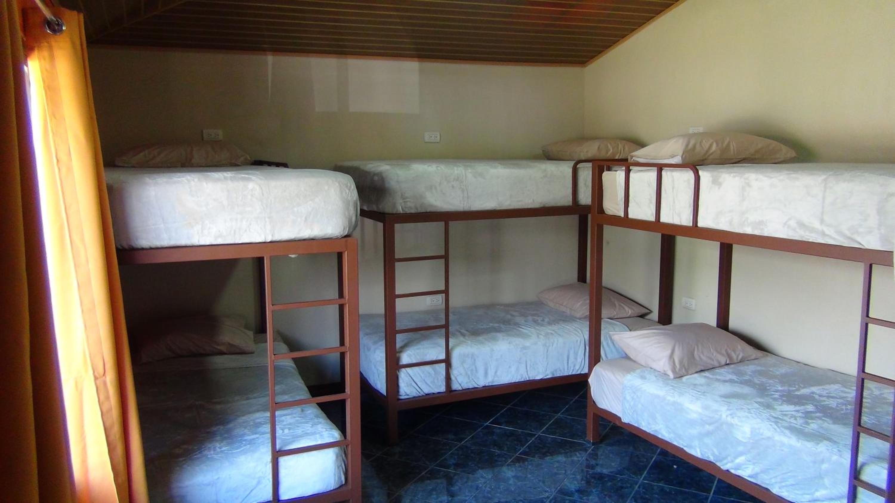 Single Bed In Dormitory Room photo 1