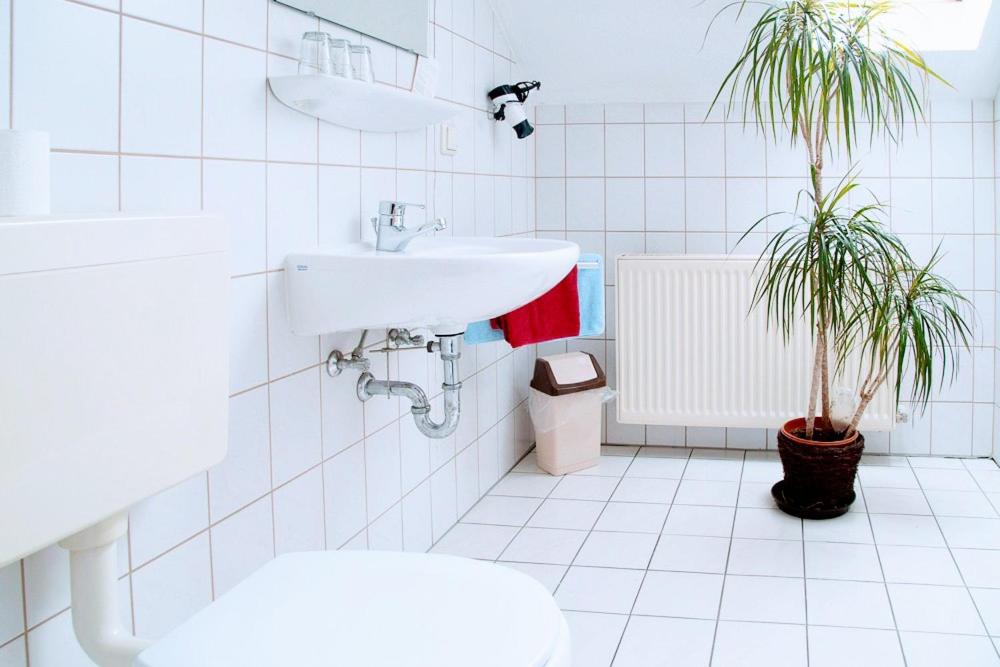 Single Room with Shower photo 3