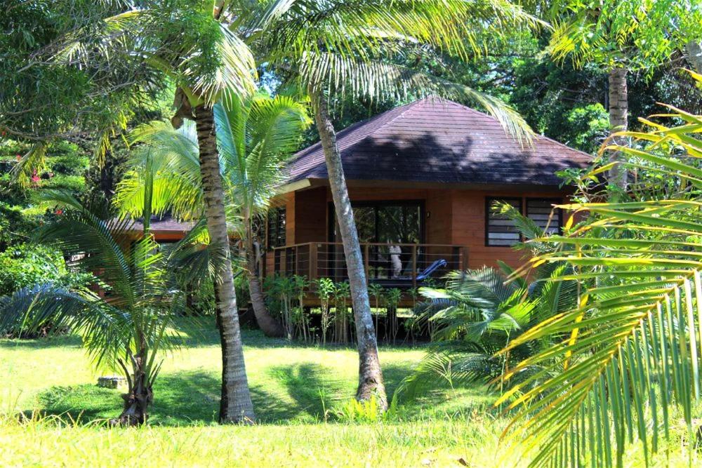 Room, Garden Area