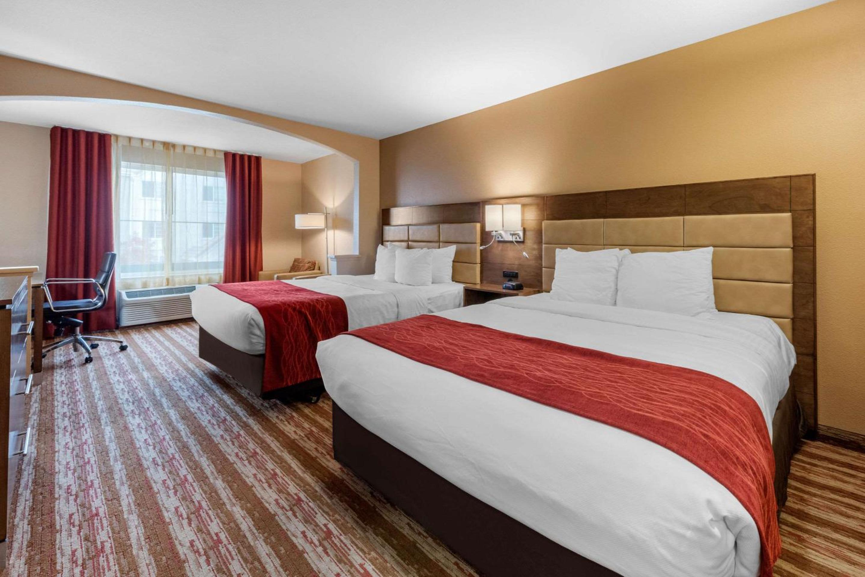 Queen Room with Two Queen Beds - Photo 5