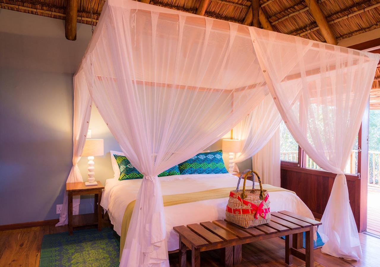 Basic Villa photo 1