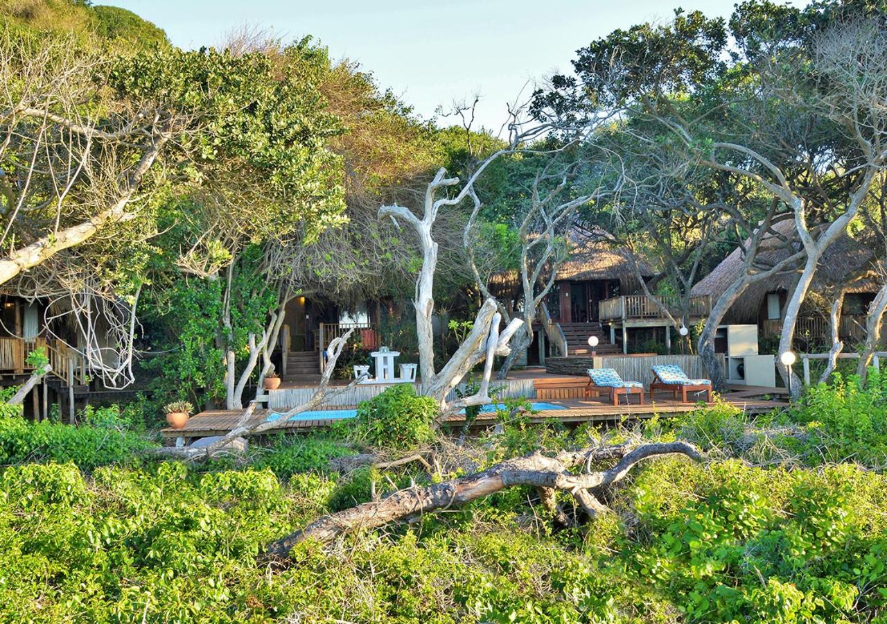 Basic Villa photo 2