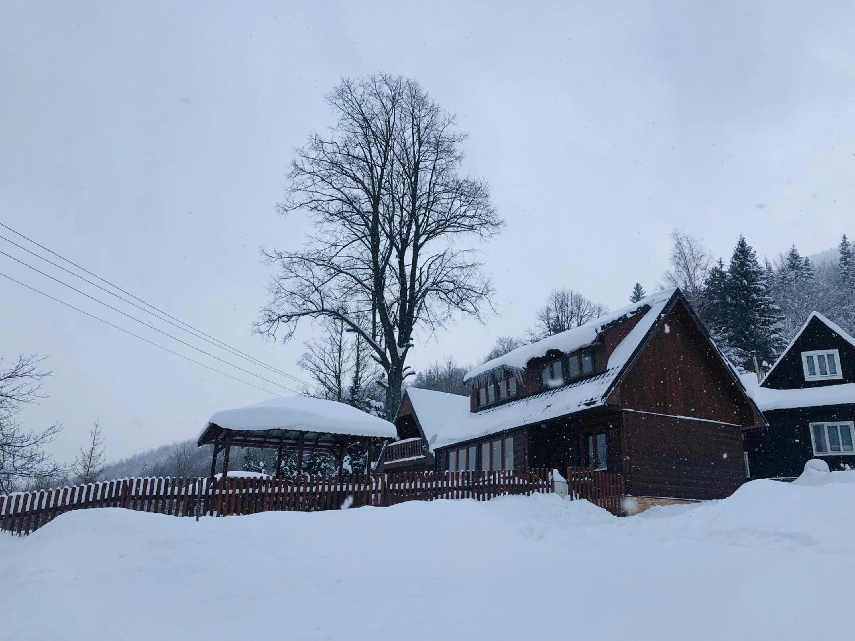 Vacation Home photo 3