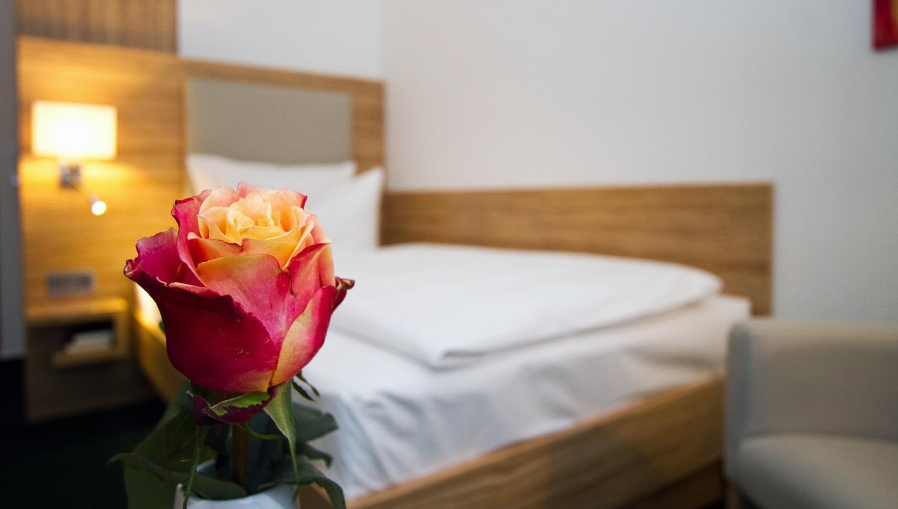 Classic Single Room photo 2