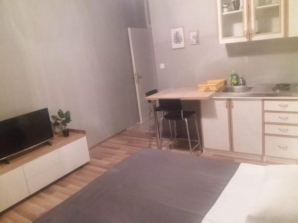 Studio Apartment photo 1