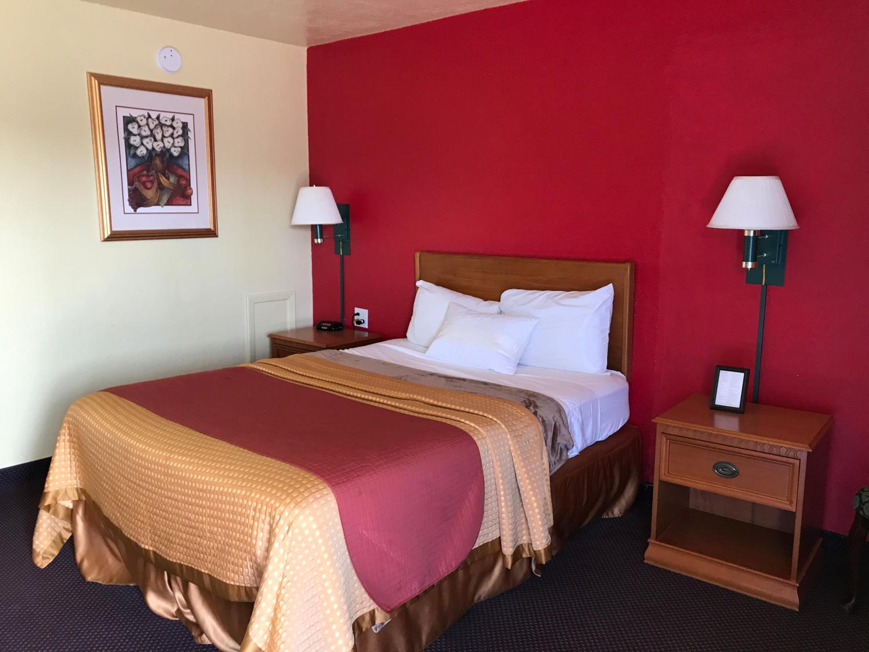 Budget Single Room photo 1