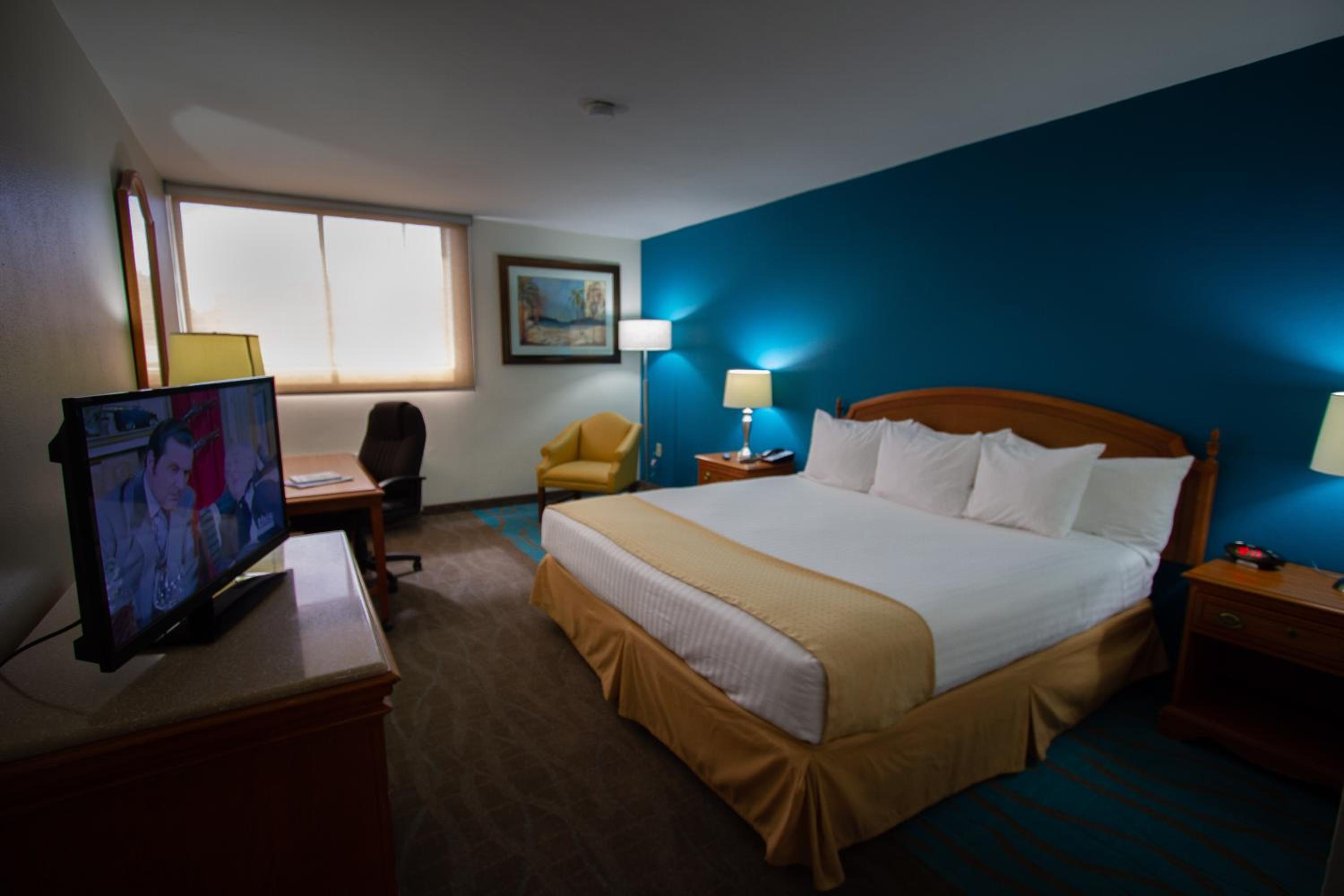 Deluxe King Suite photo 2