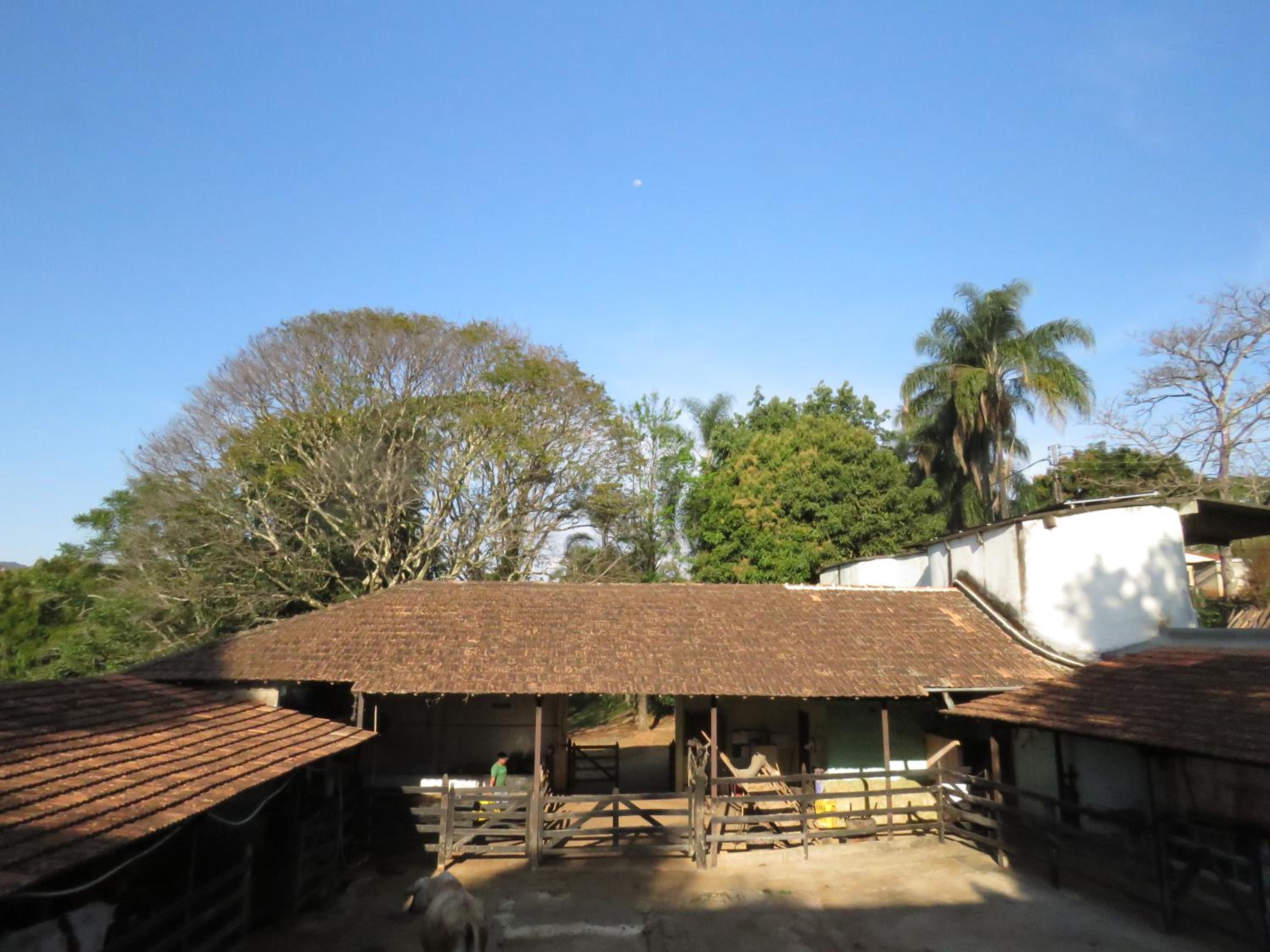 Triple Room - Photo 15