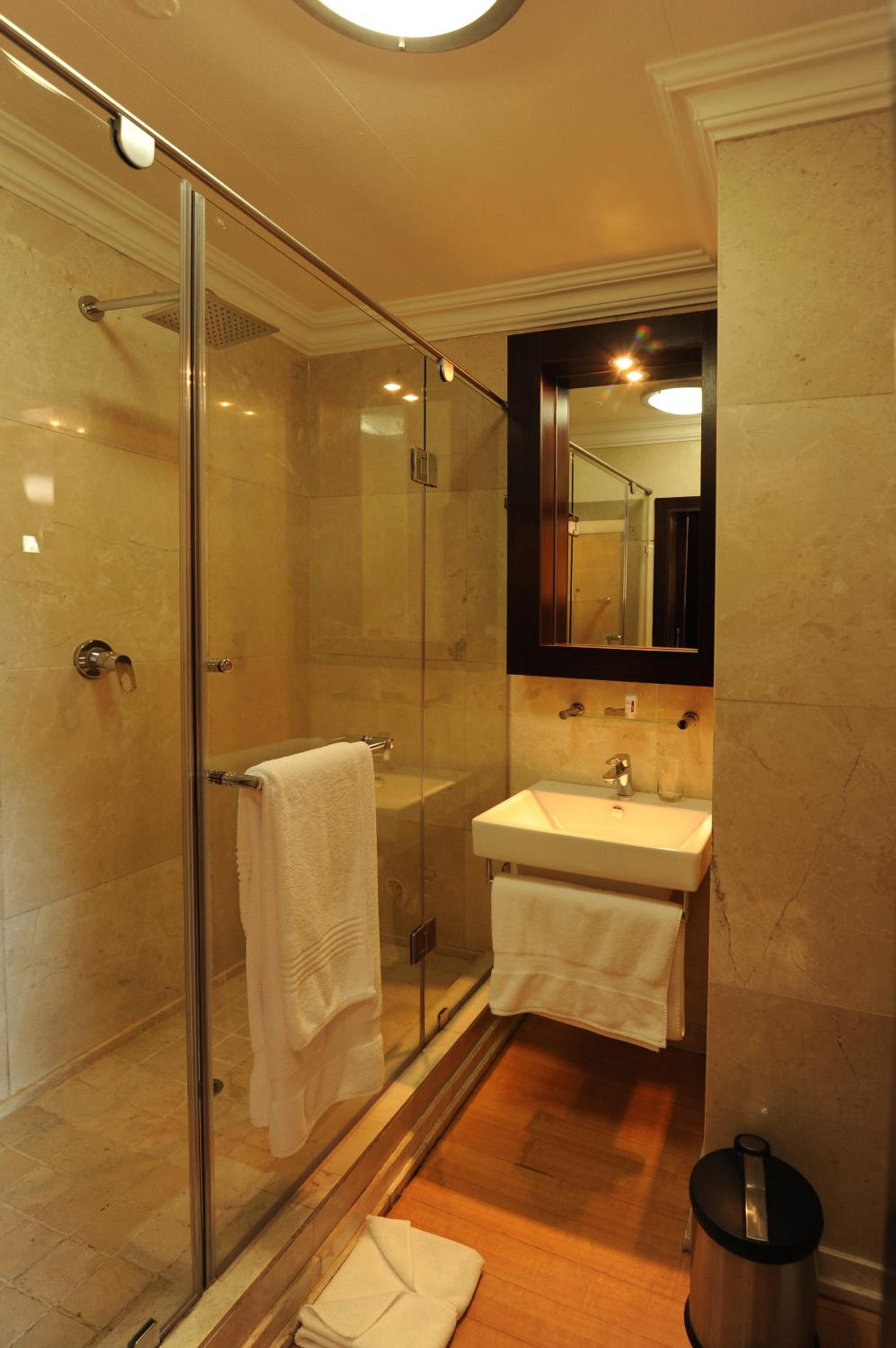 Deluxe Double or Twin Room photo 3