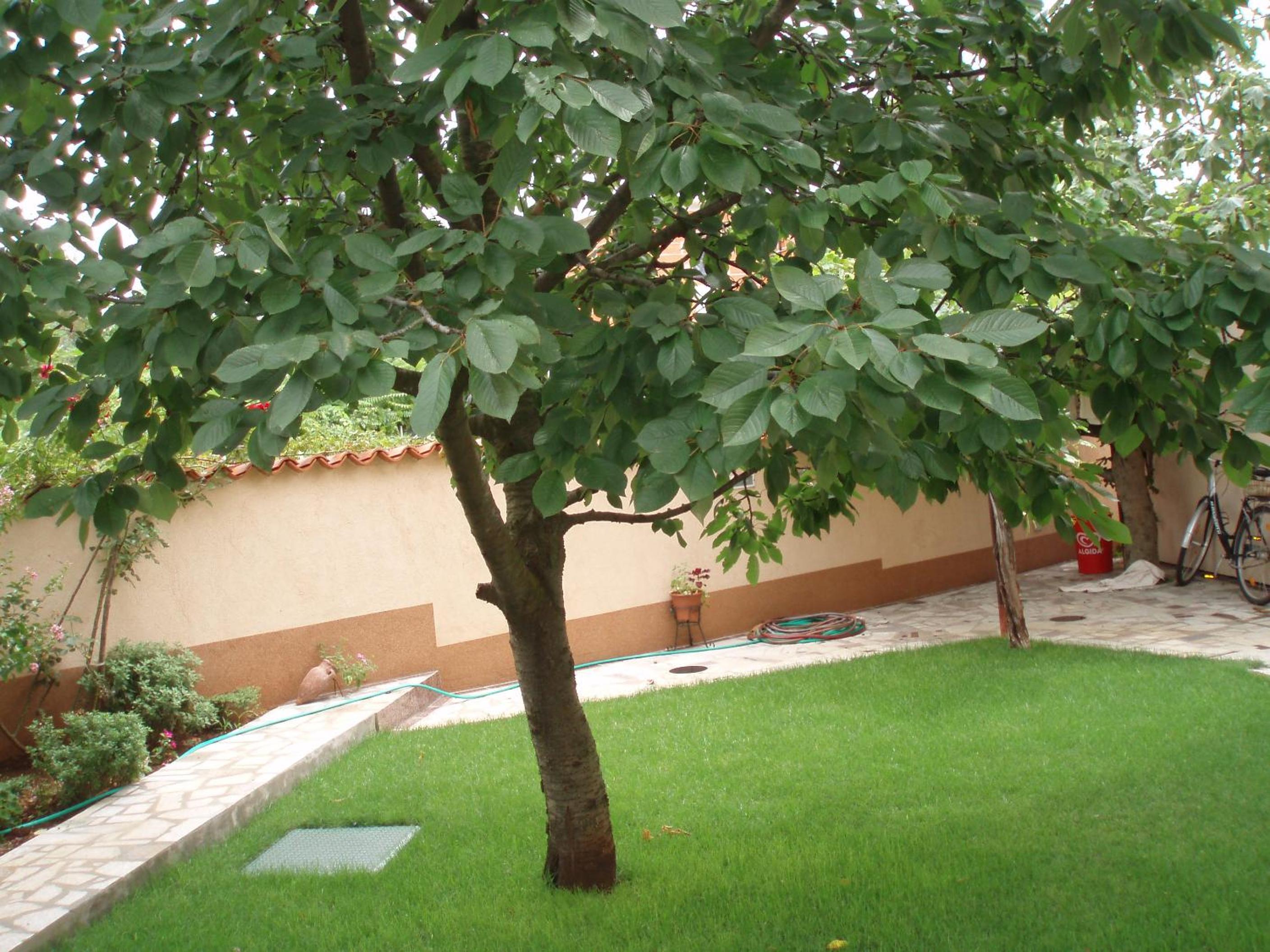 Apartment - Ground Floor - Photo 14