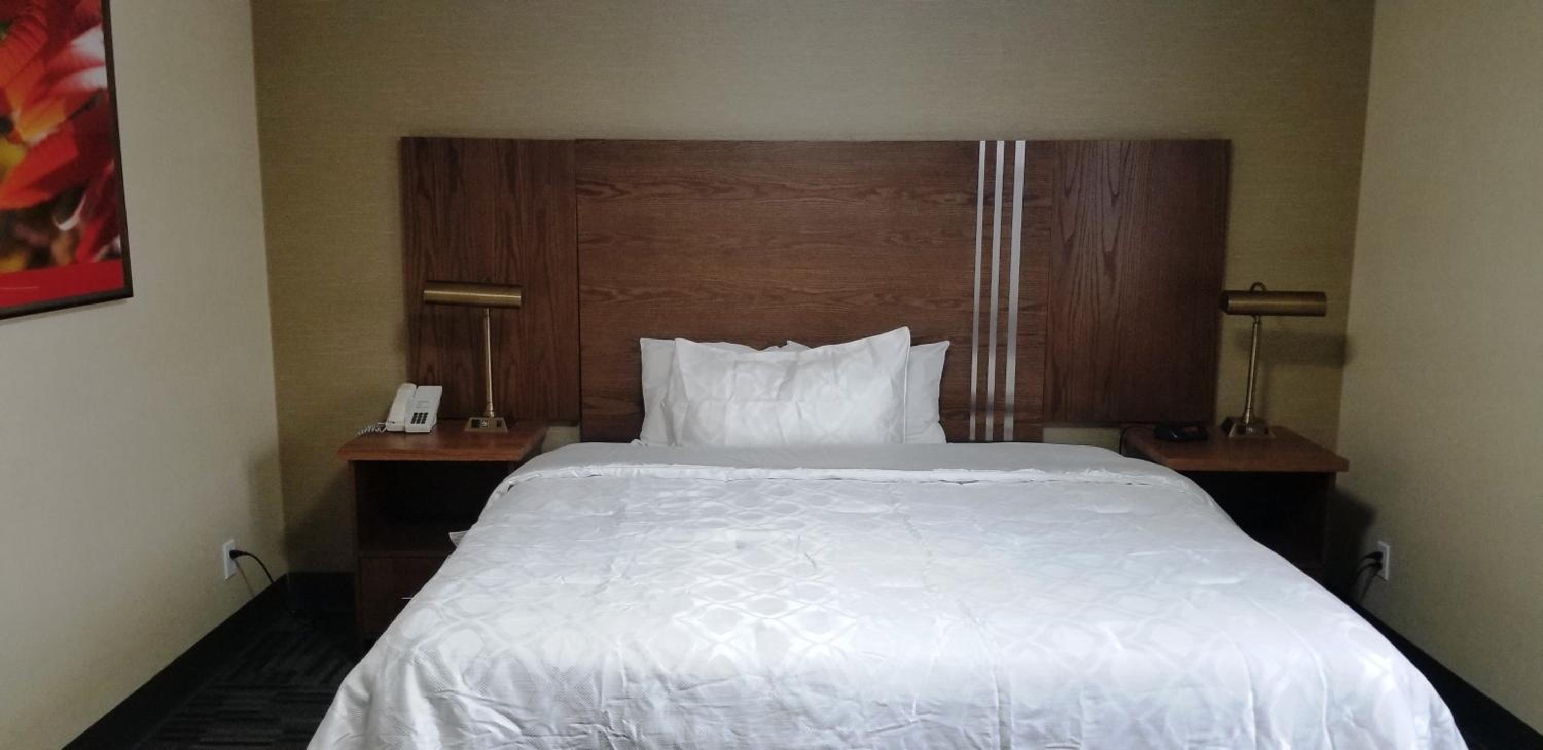 King Room - Non-Smoking - Photo 10
