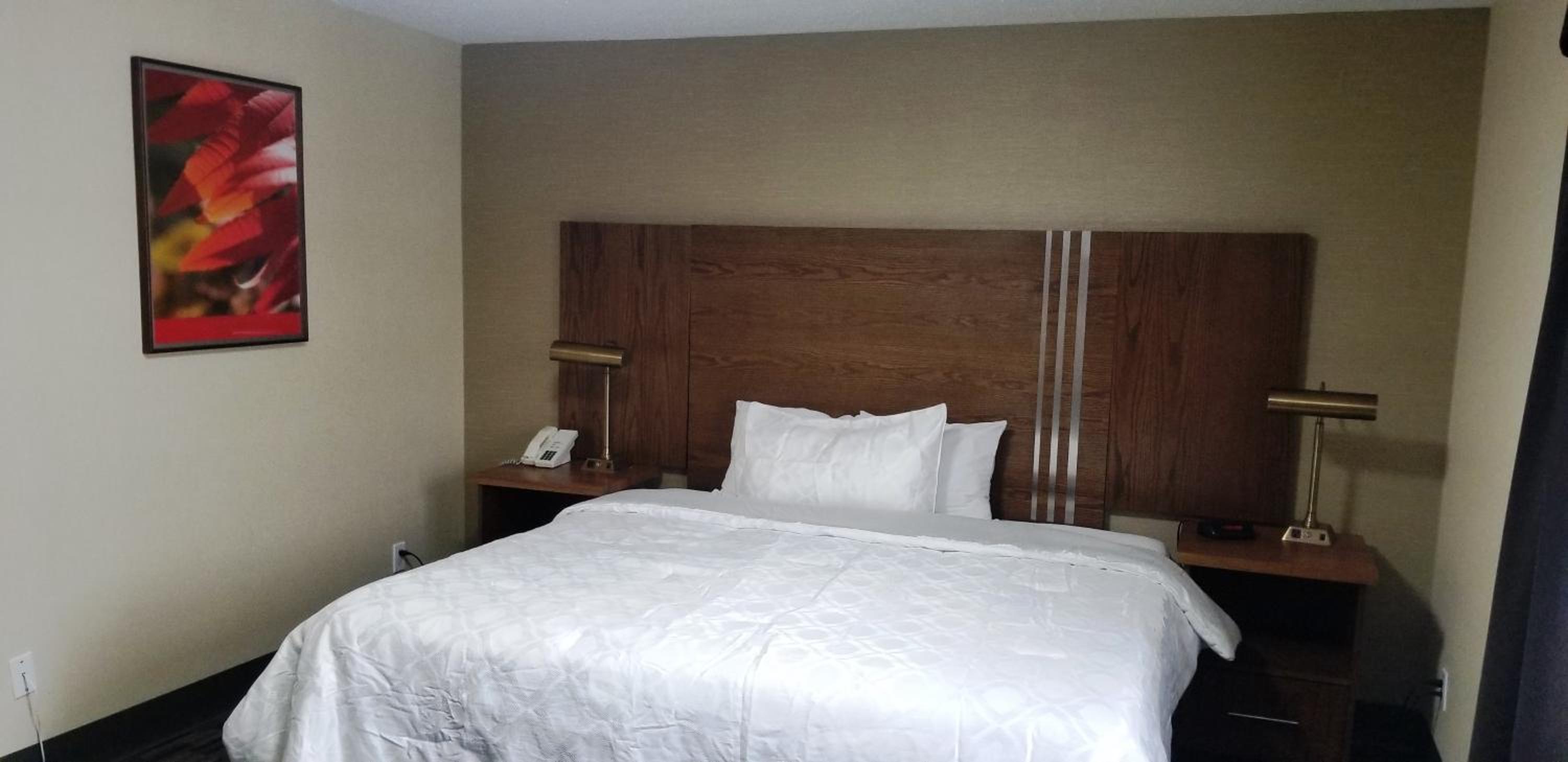 King Room - Non-Smoking - Photo 11