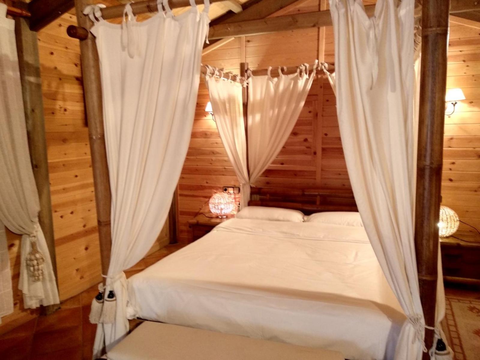 Superior Bungalow - Photo 2