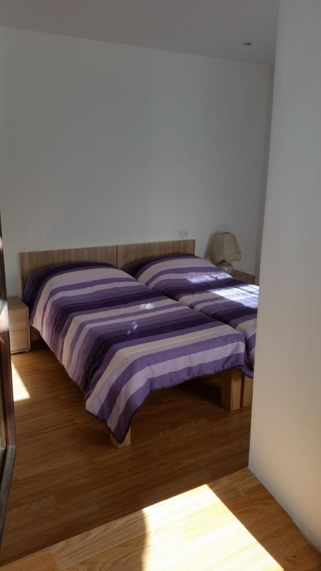 Apartment with Terrace photo 1