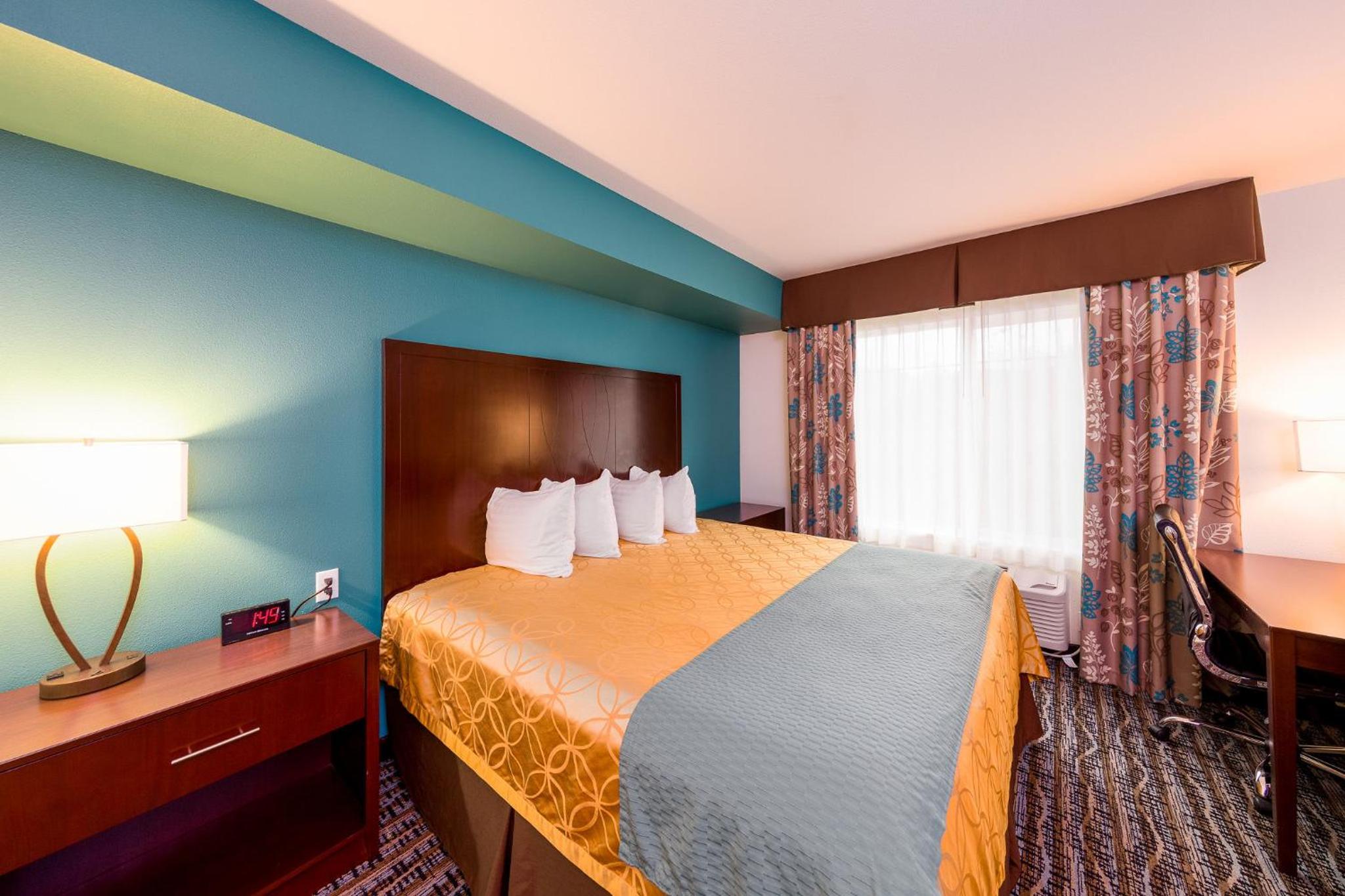 King Room - Not Pet Friendly  - Photo 3