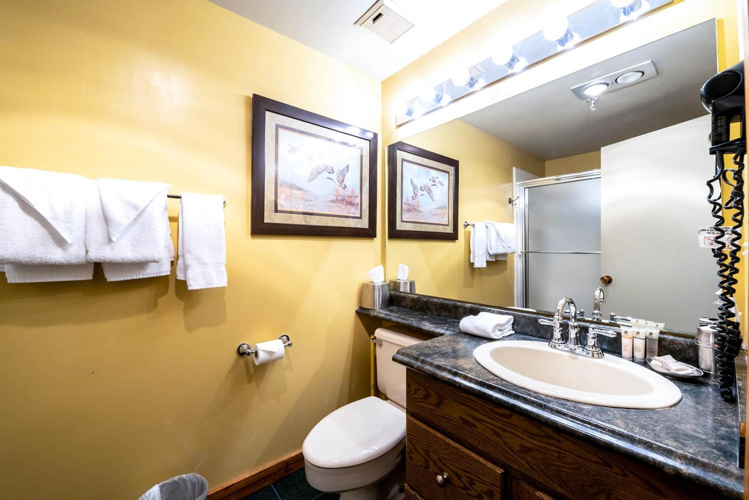 Studio Suite - Photo 12