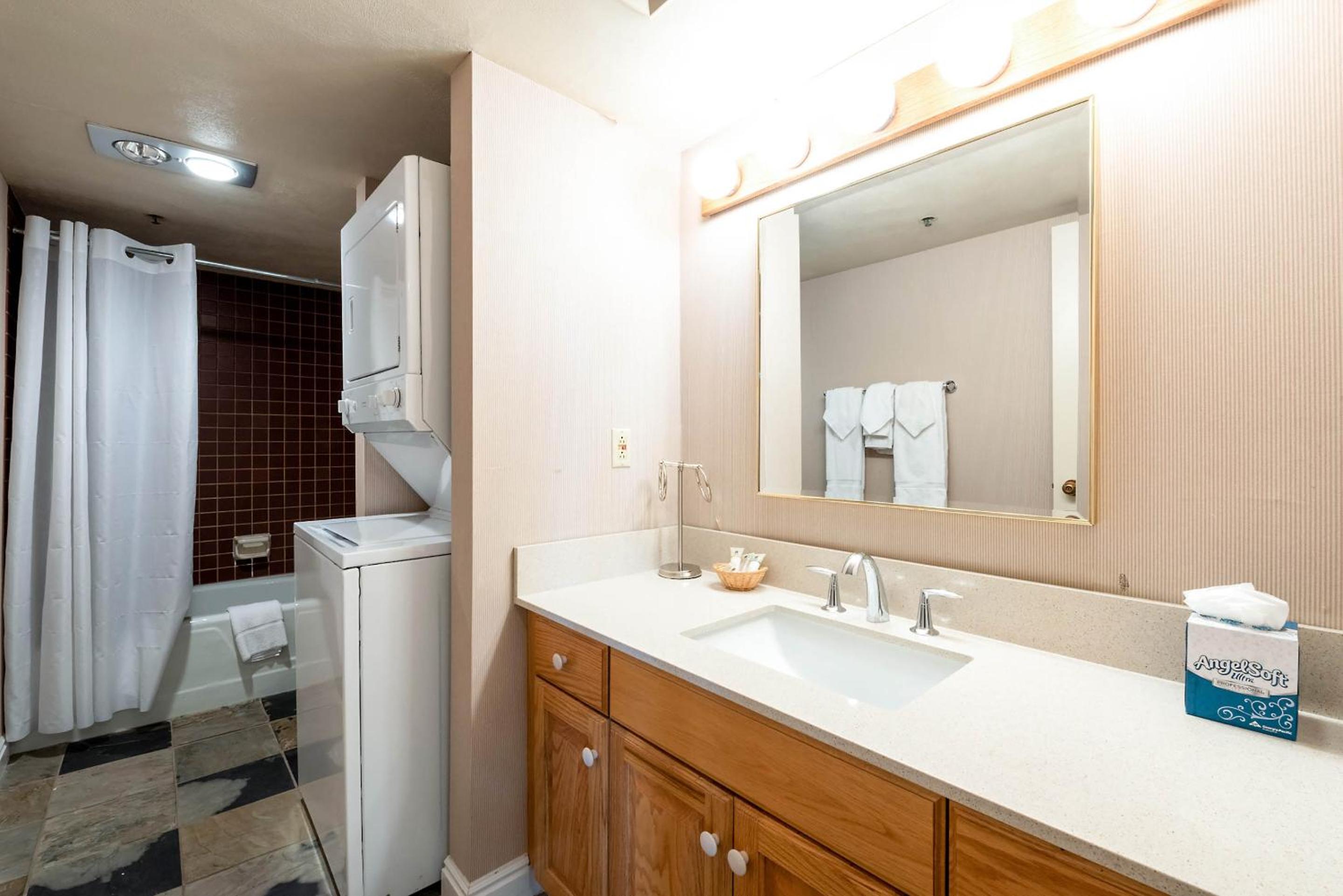 1 Bedroom Condominium  - Photo 3