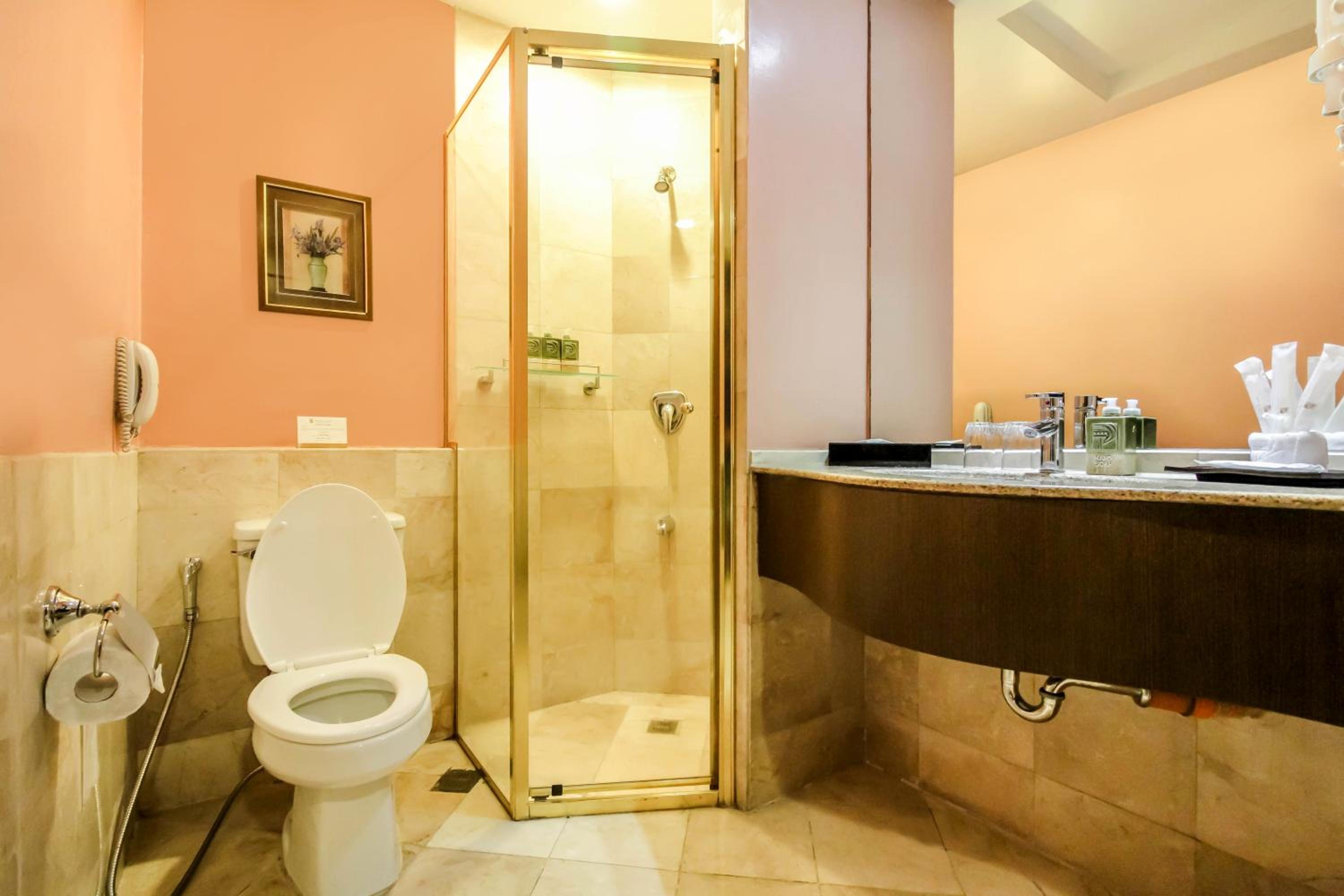 One Bedroom Executive Suite - Photo 4