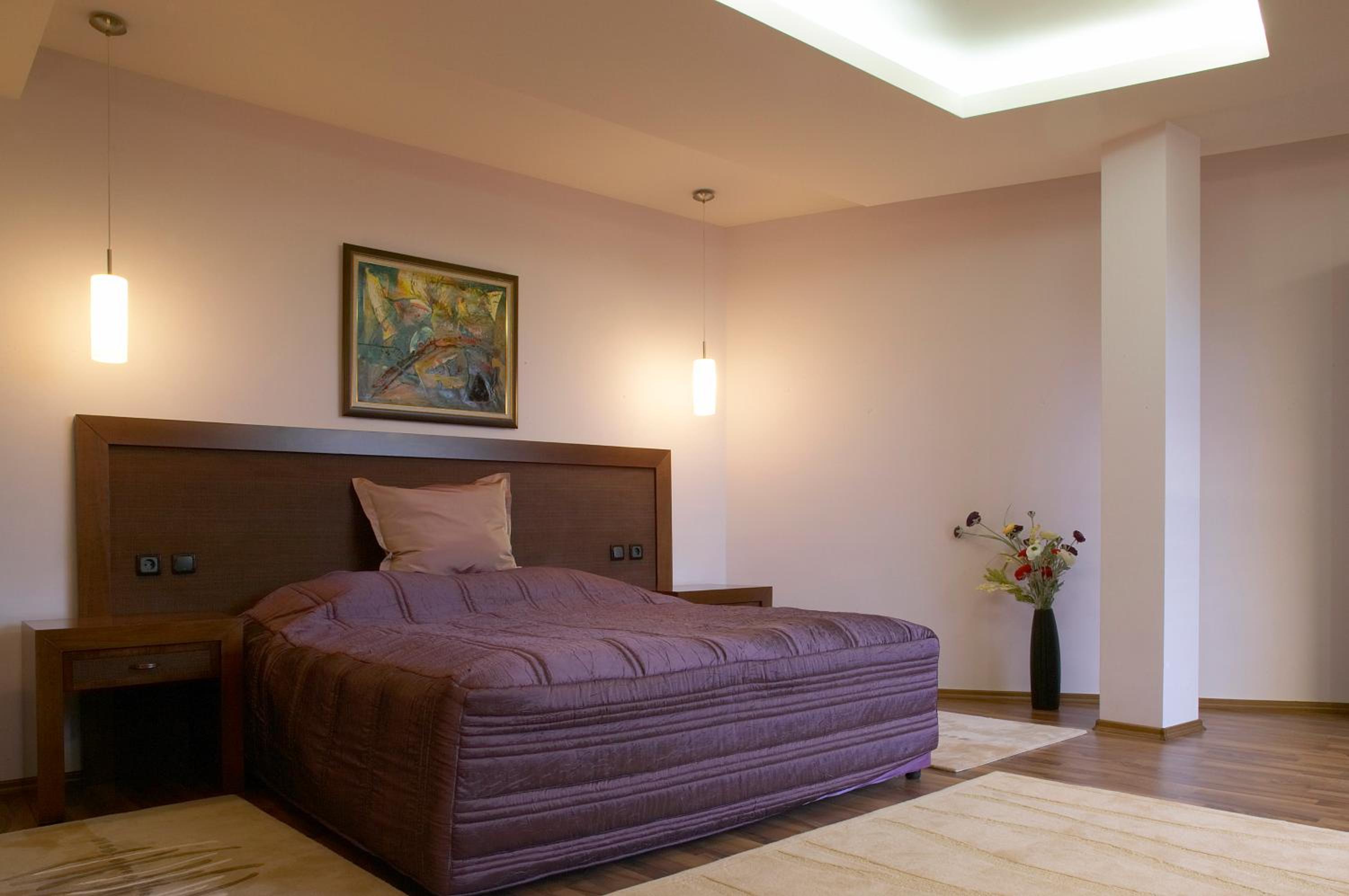 Superior One-Bedroom Suite - Photo 8
