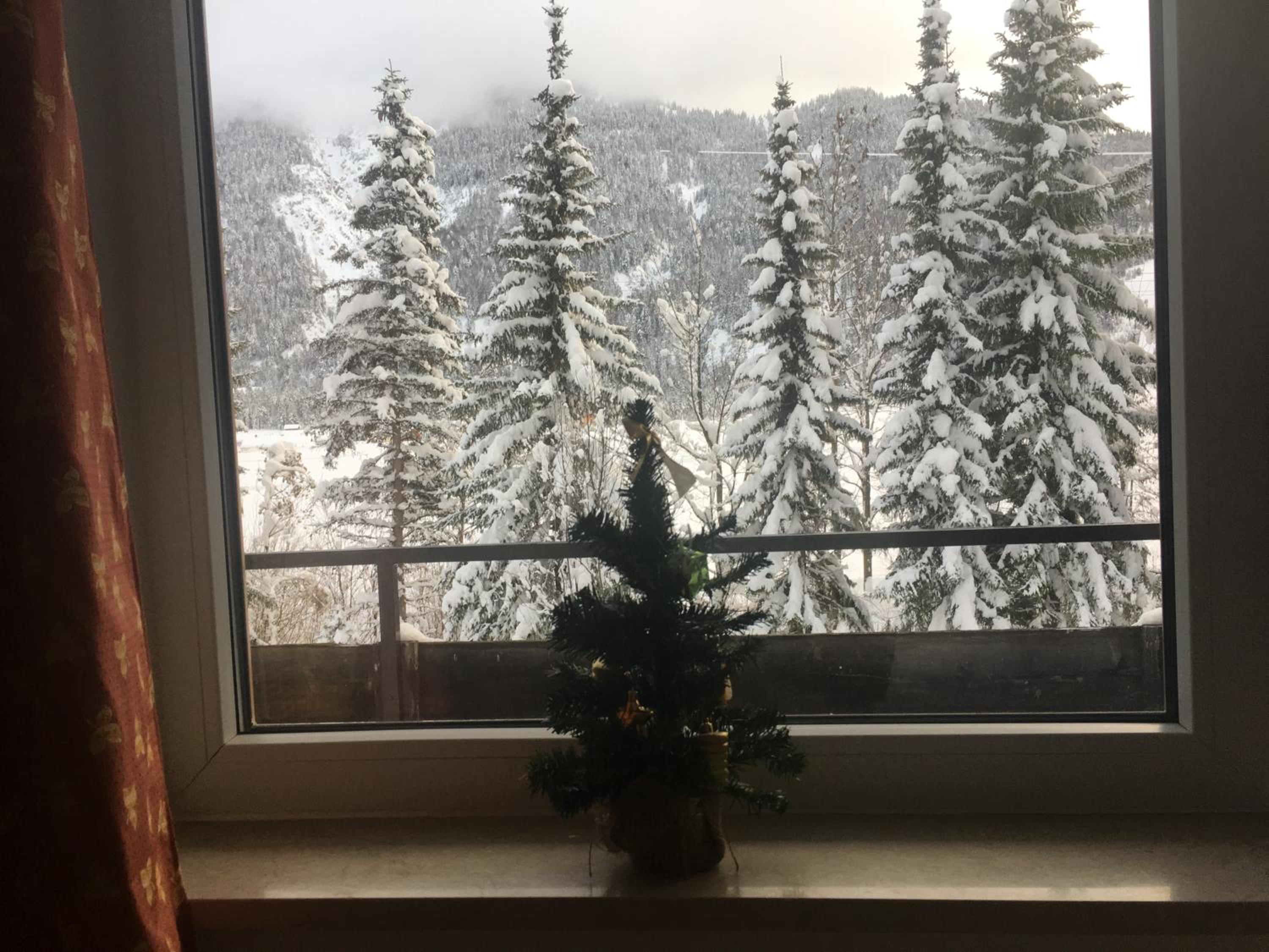 Apartment with Mountain View - Photo 5