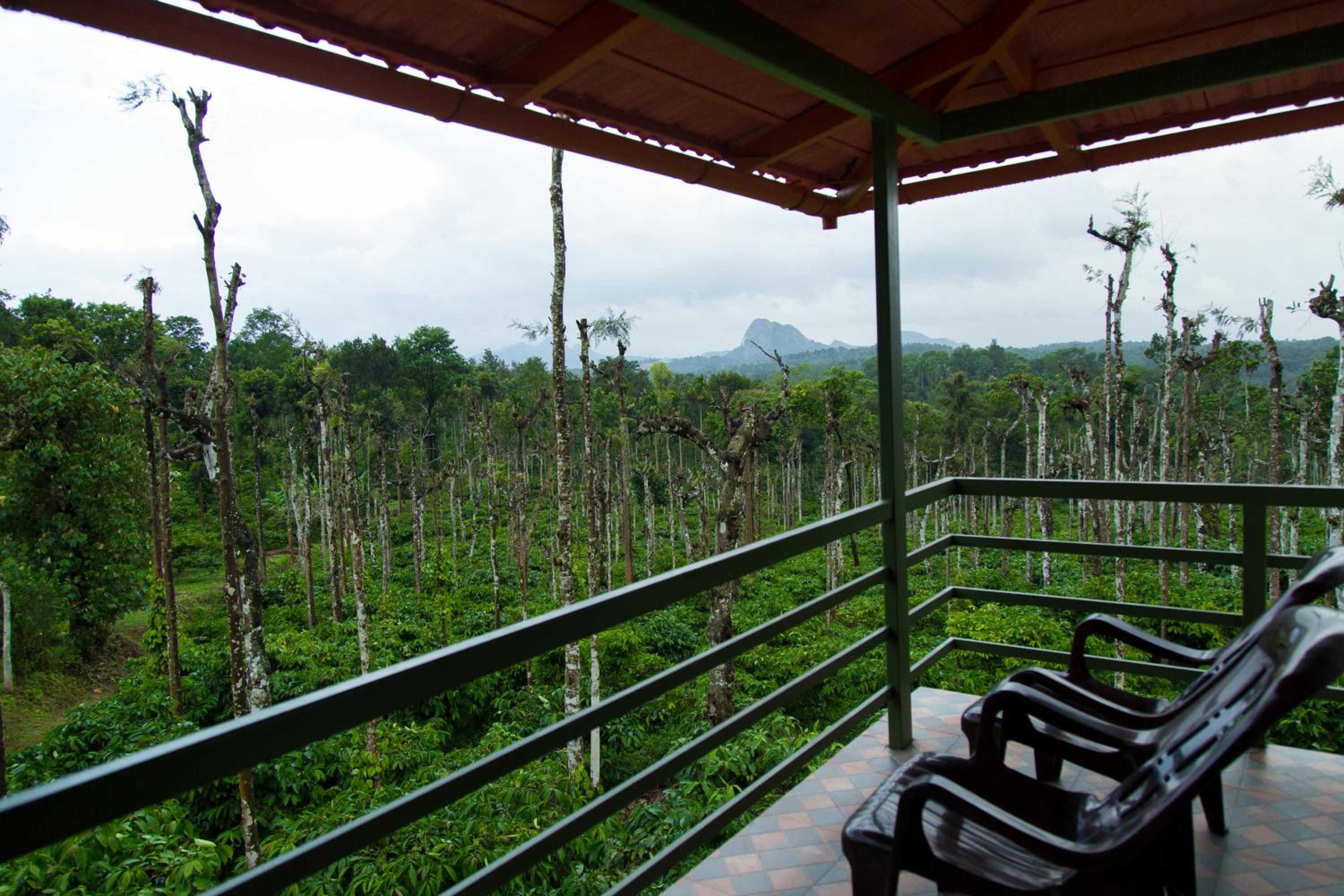 Deluxe Double Room with Balcony photo 2