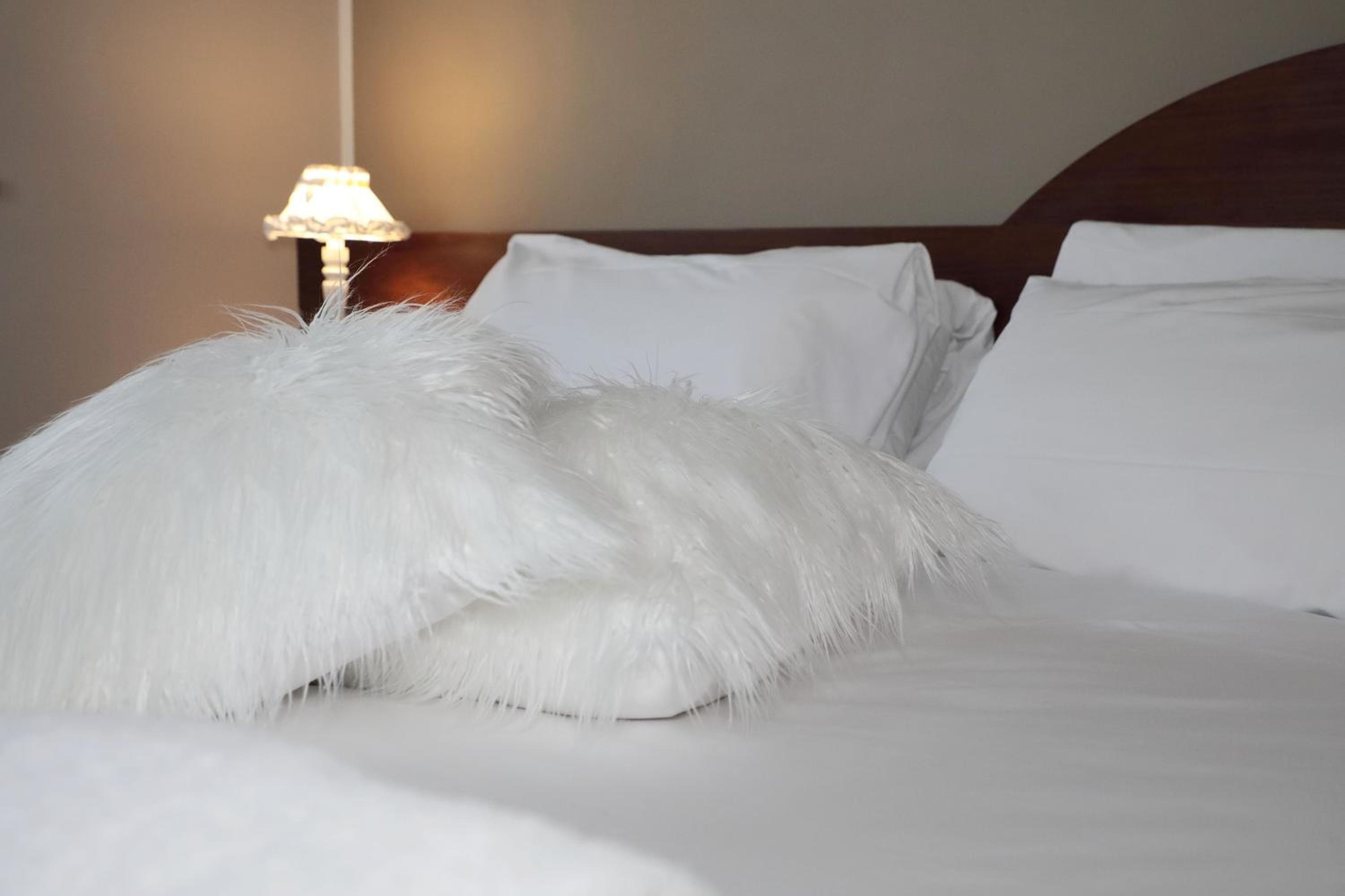 Double or Twin Room photo 2