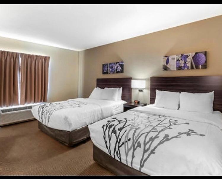 Queen Suite with Two Queen Beds - Non-Smoking