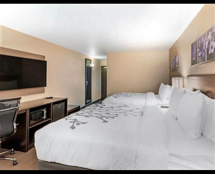 Queen Suite with Two Queen Beds - Non-Smoking