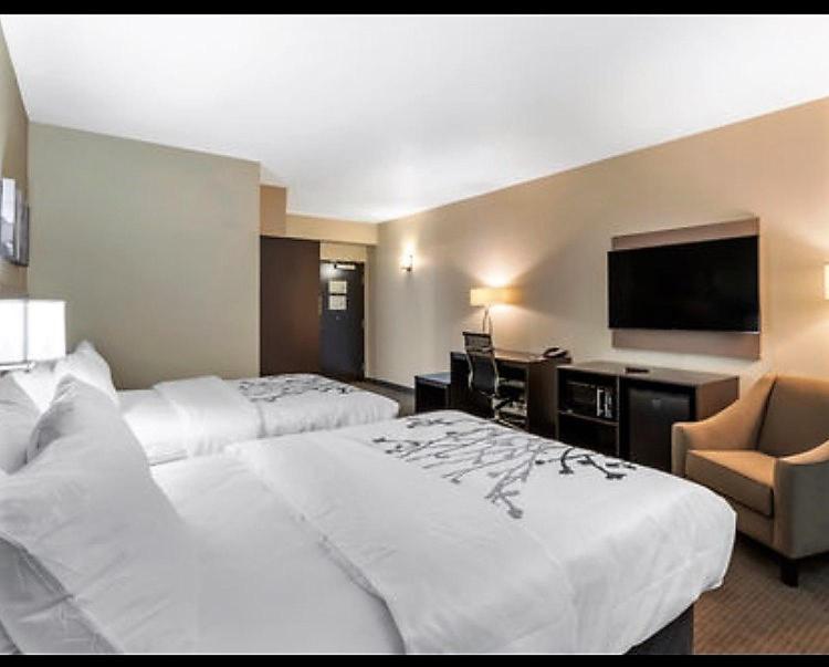 Queen Suite with Two Queen Beds - Non-Smoking