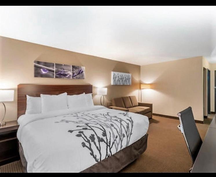 Suite, 1 King Bed, Accessible, Non Smoking