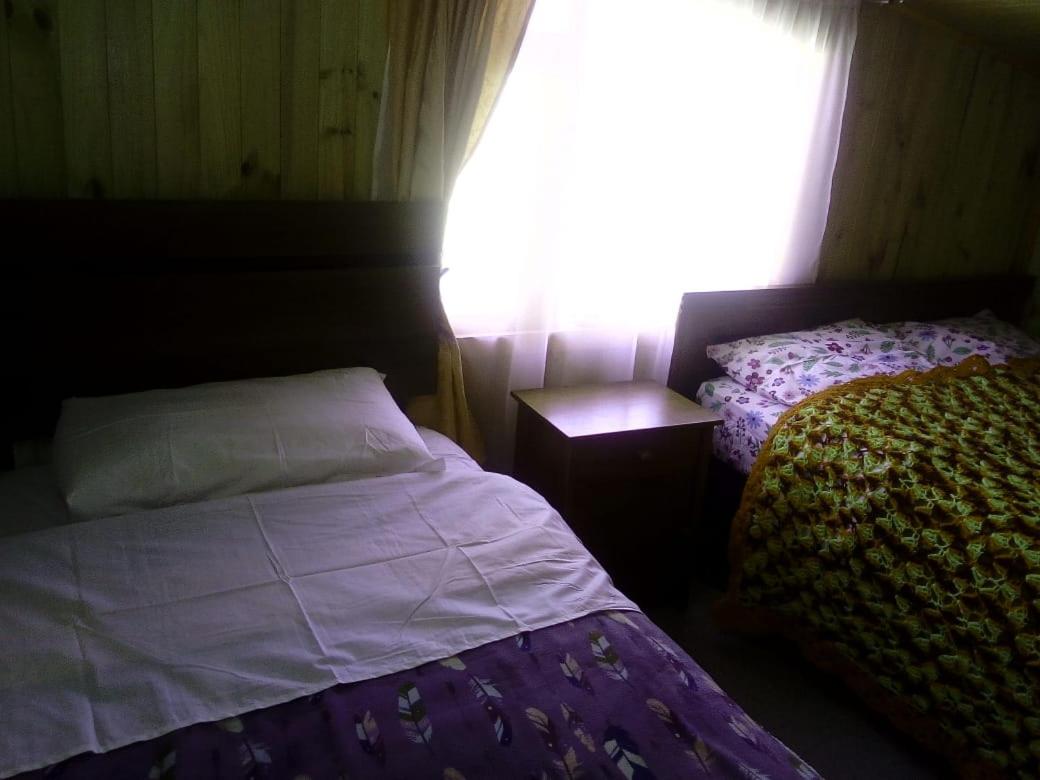 Twin Room with City View photo 3