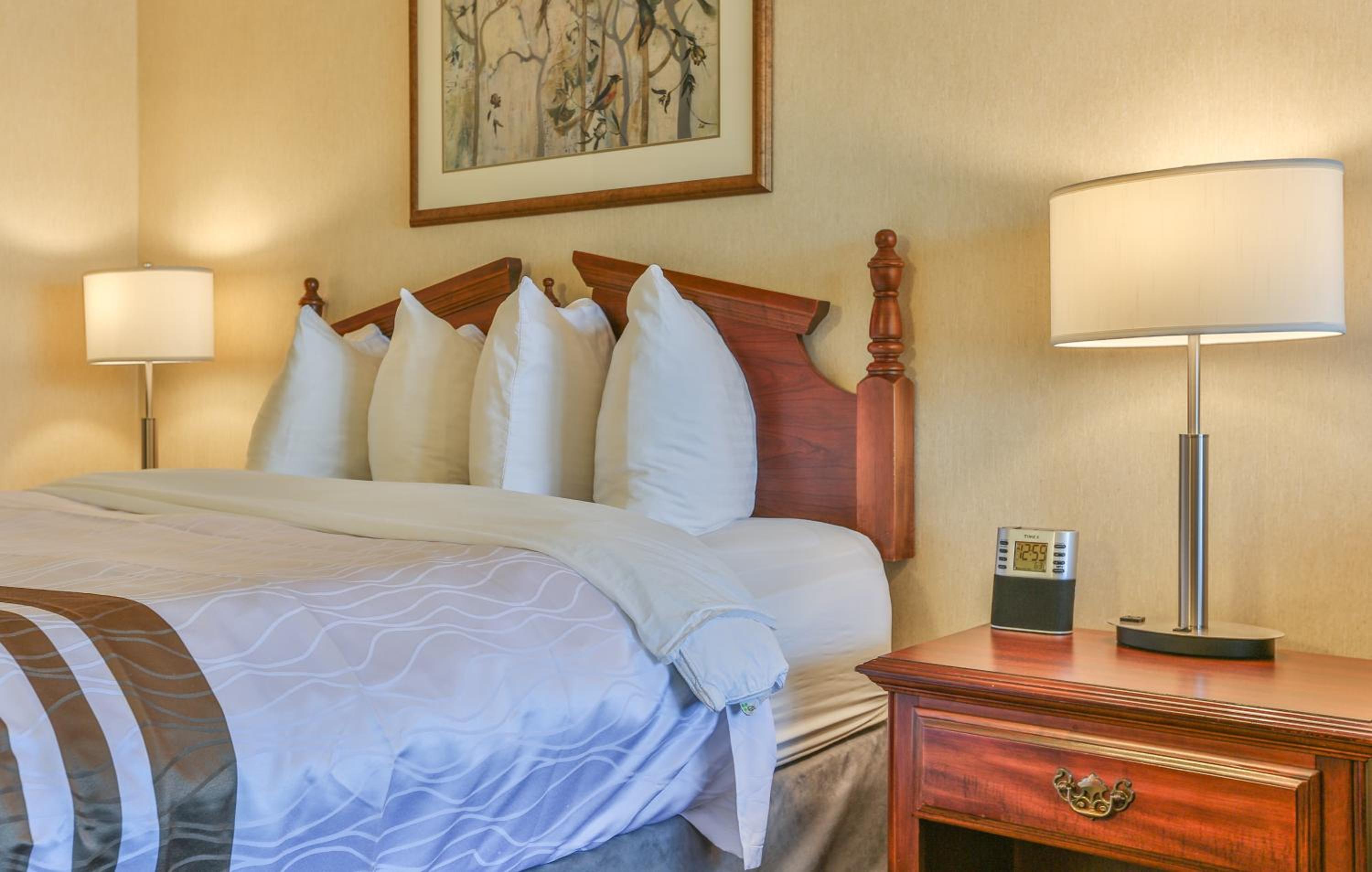 Standard Queen Room - Photo 8