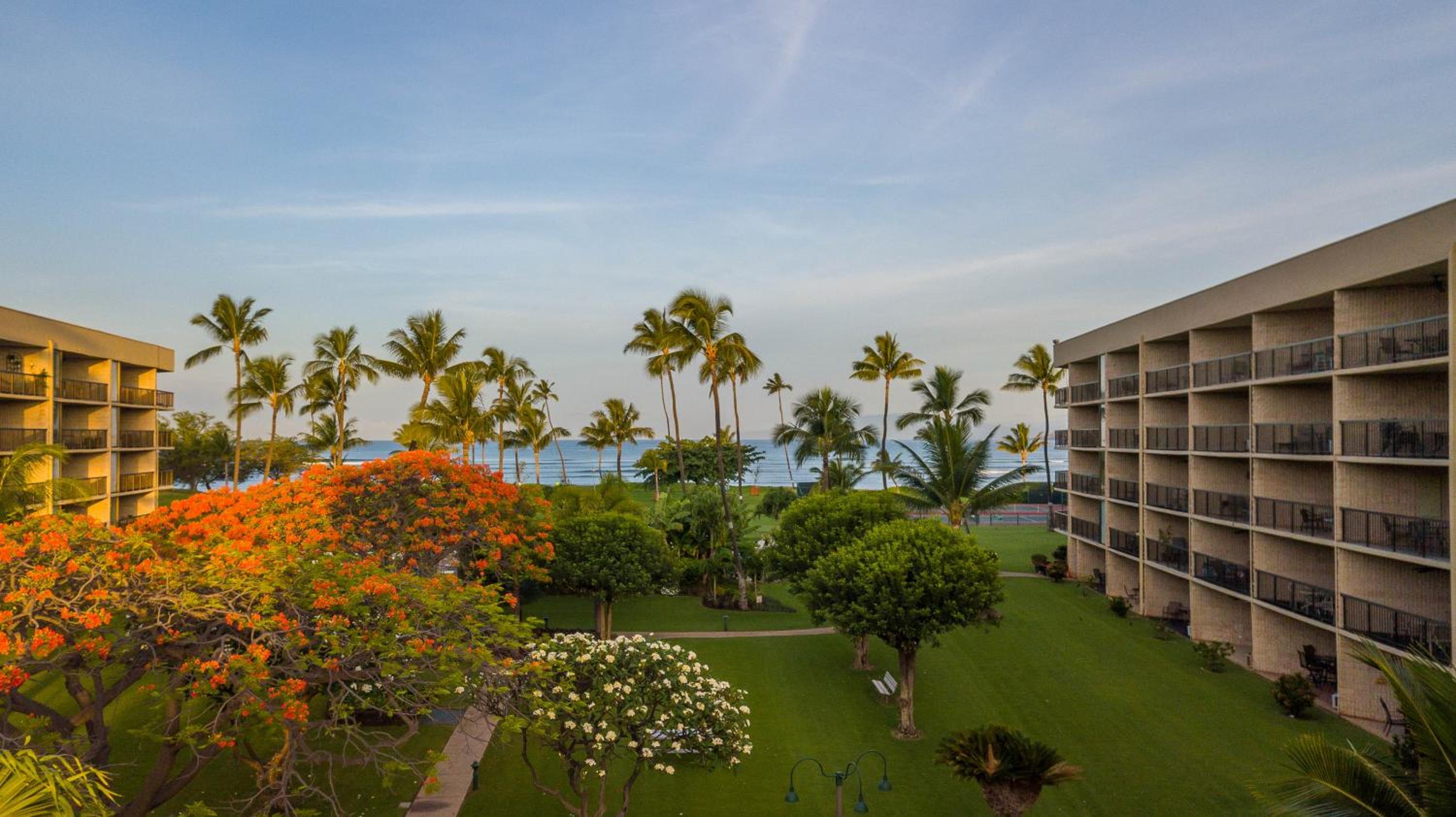 Premium One-Bedroom Apartment with Partial Ocean View photo 3