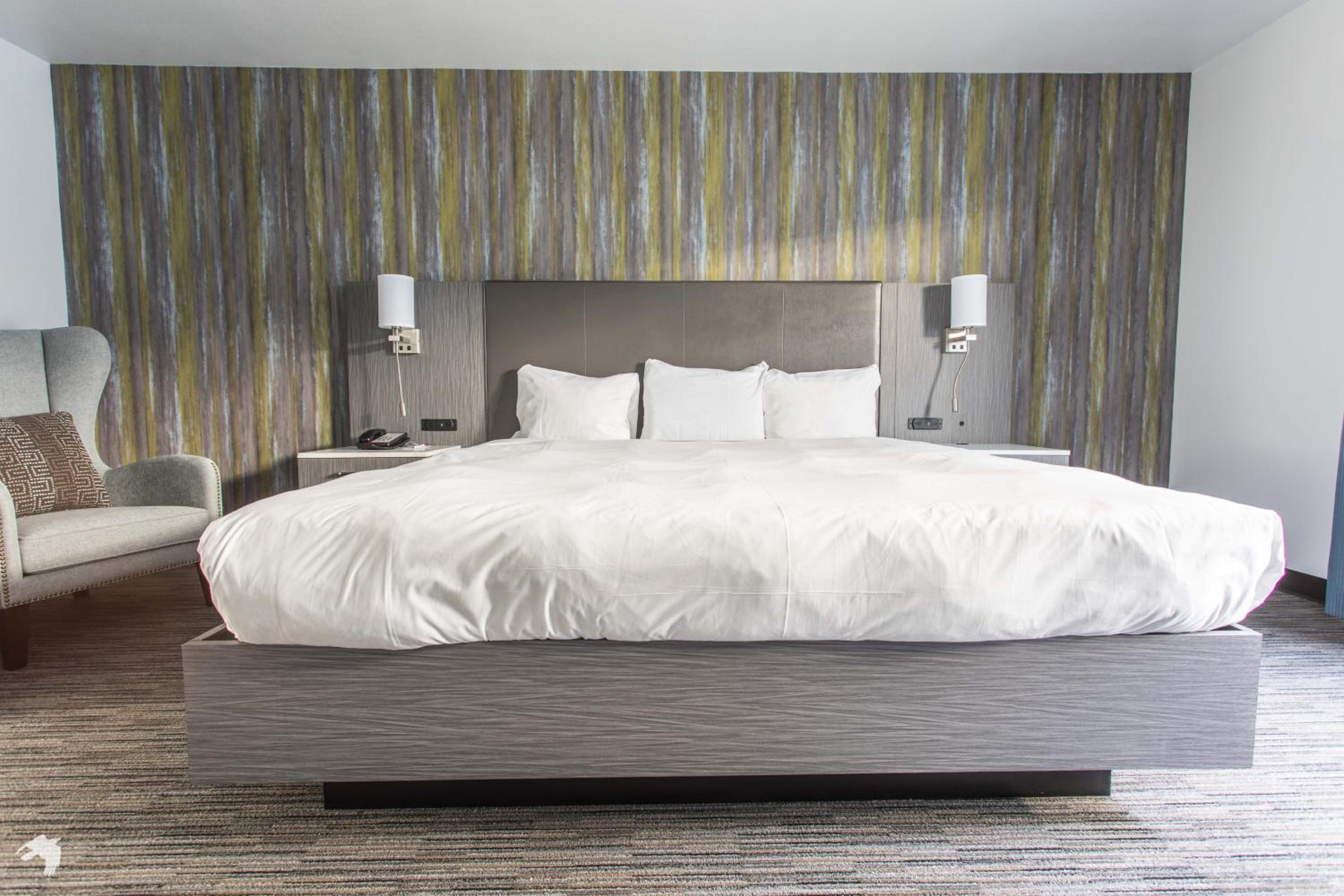 Standard King Suite photo 1