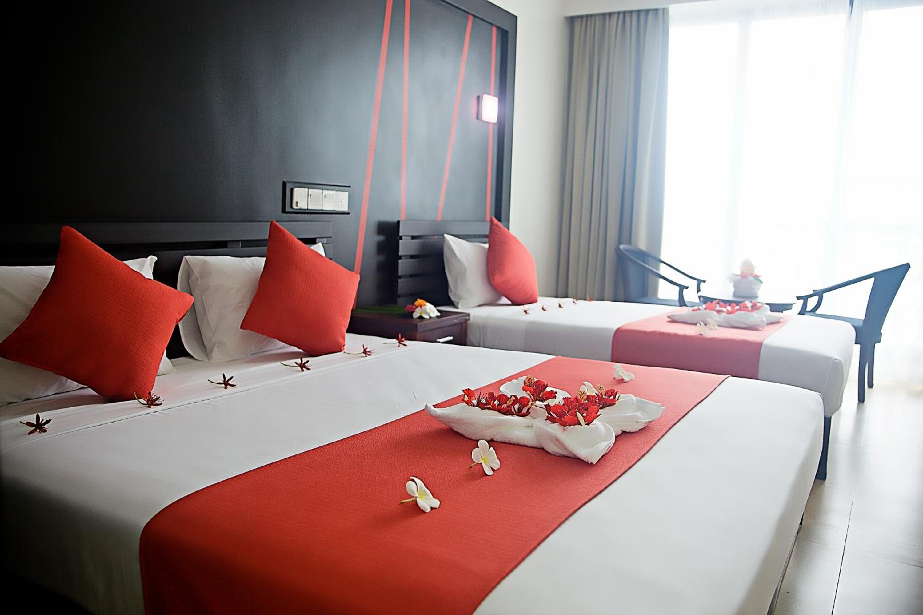 Deluxe King Room photo 3