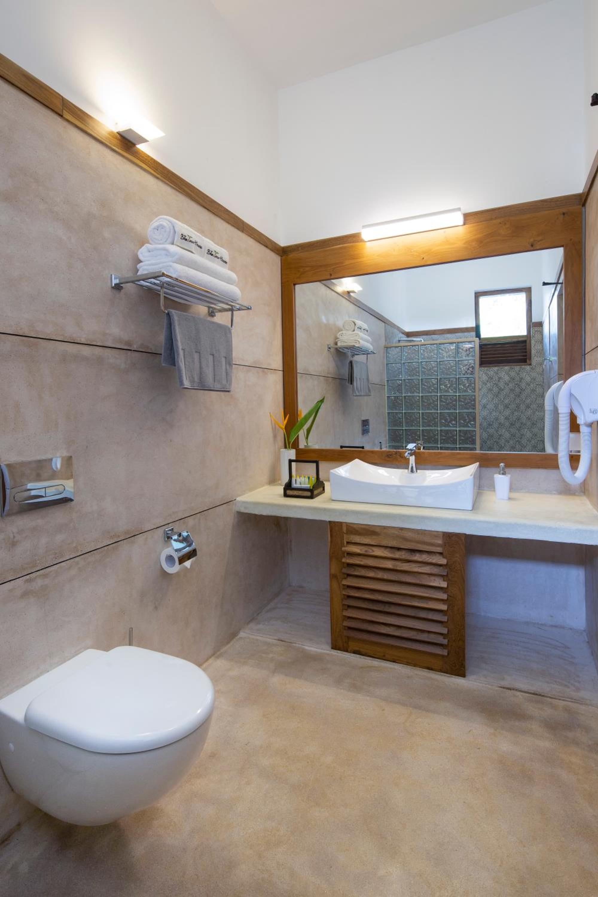 Deluxe Double Room photo 3