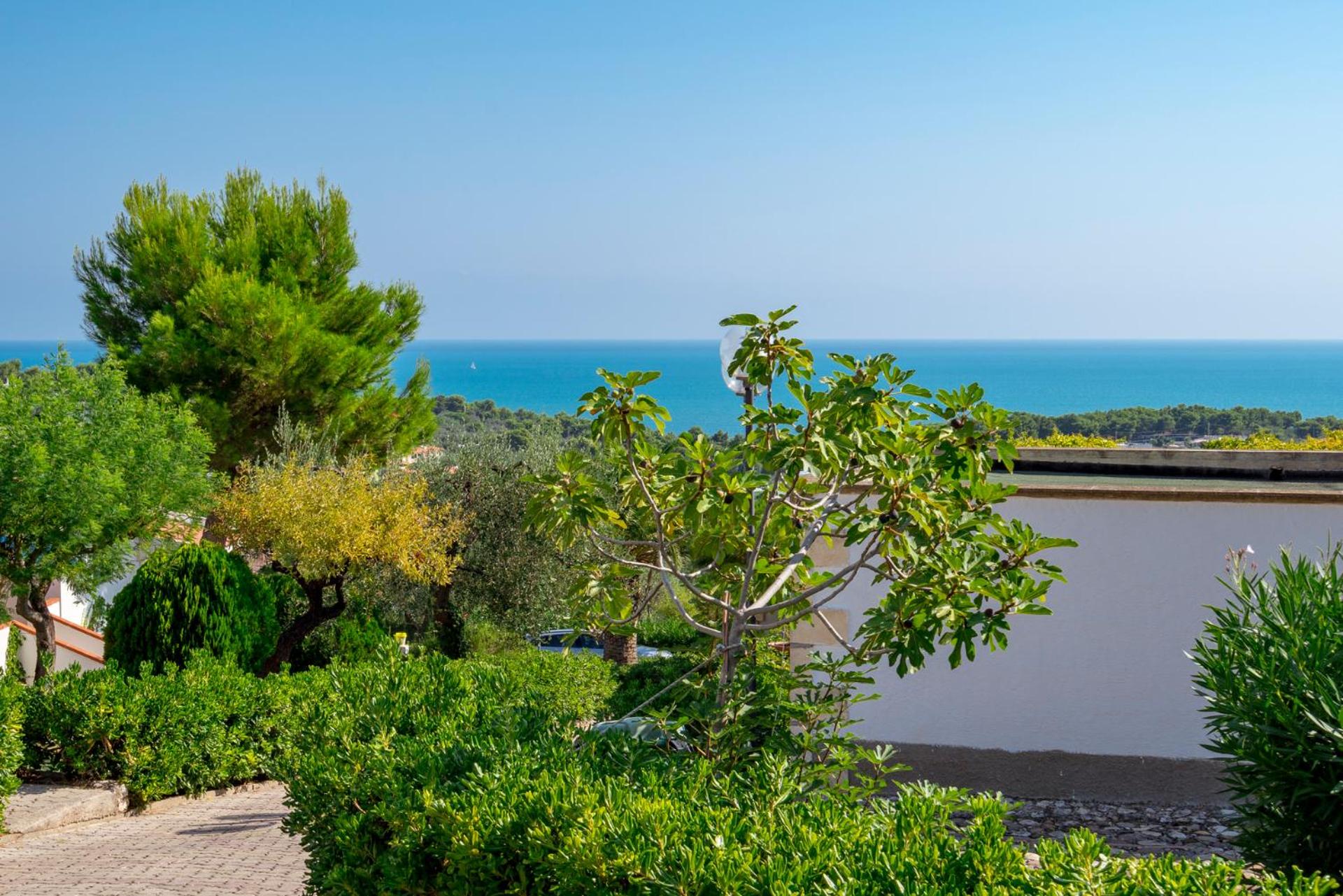 One-Bedroom Apartment with Terrace (2 Adults) photo 2