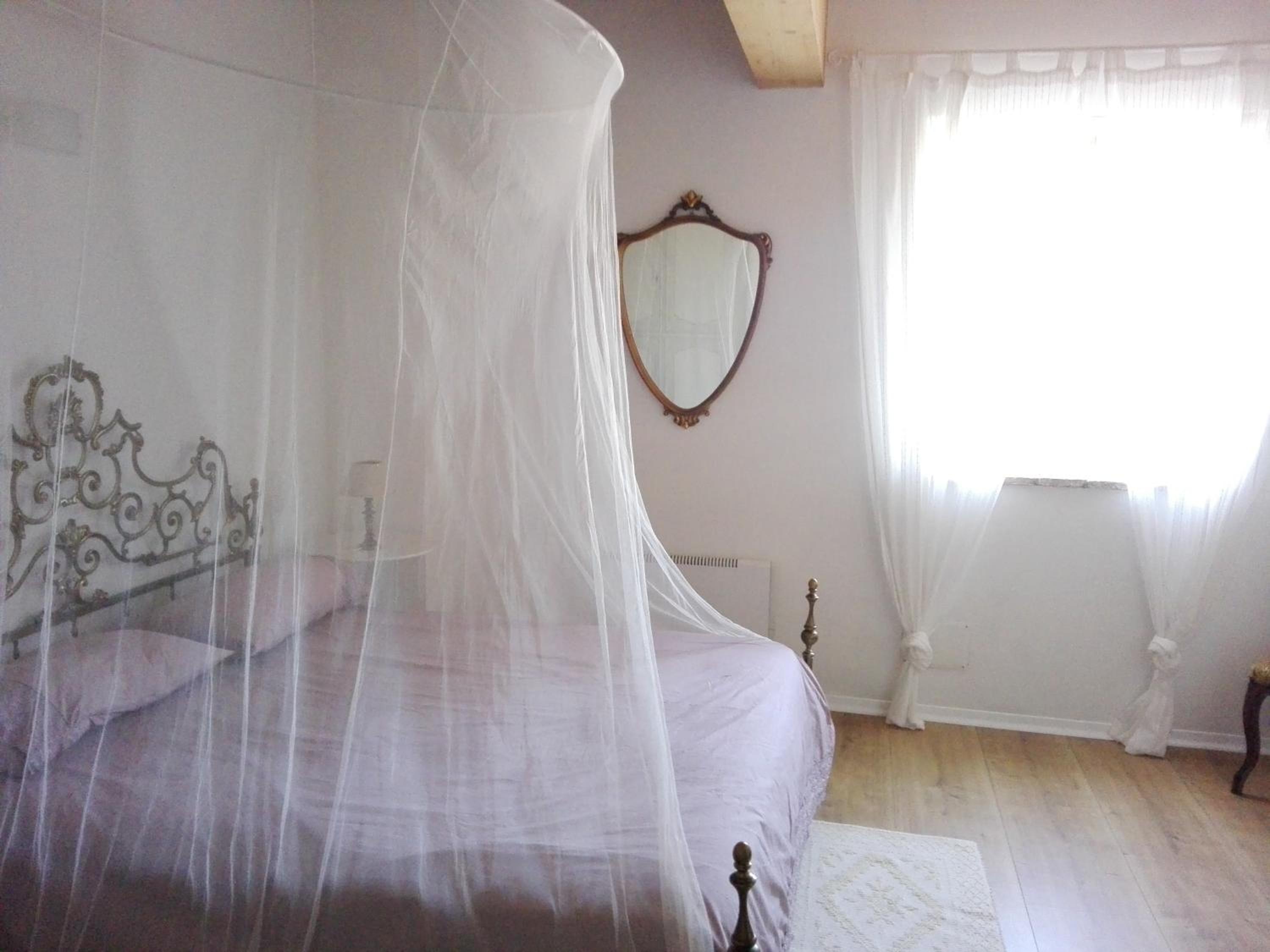 King Room with Garden View photo 2