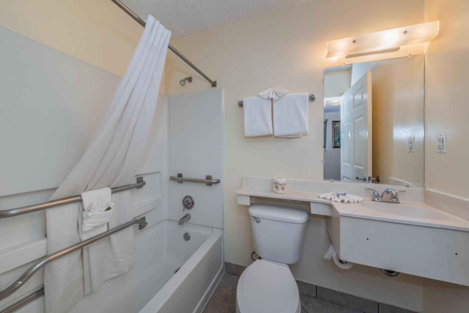 Upgraded Double Non-Smoking, Kitchenette - Photo 9