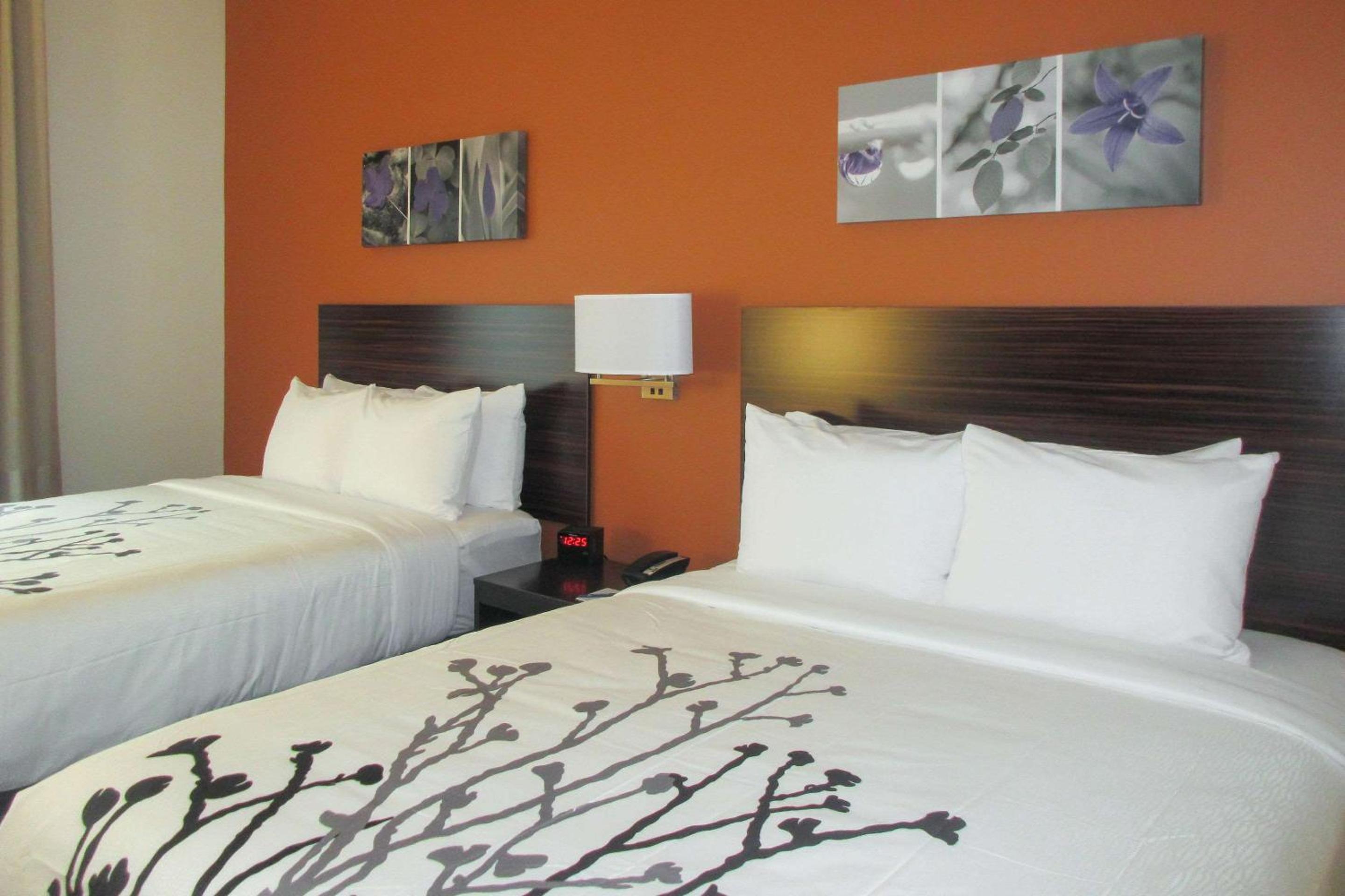 Queen Suite with Two Queen Beds - Non-Smoking photo 1