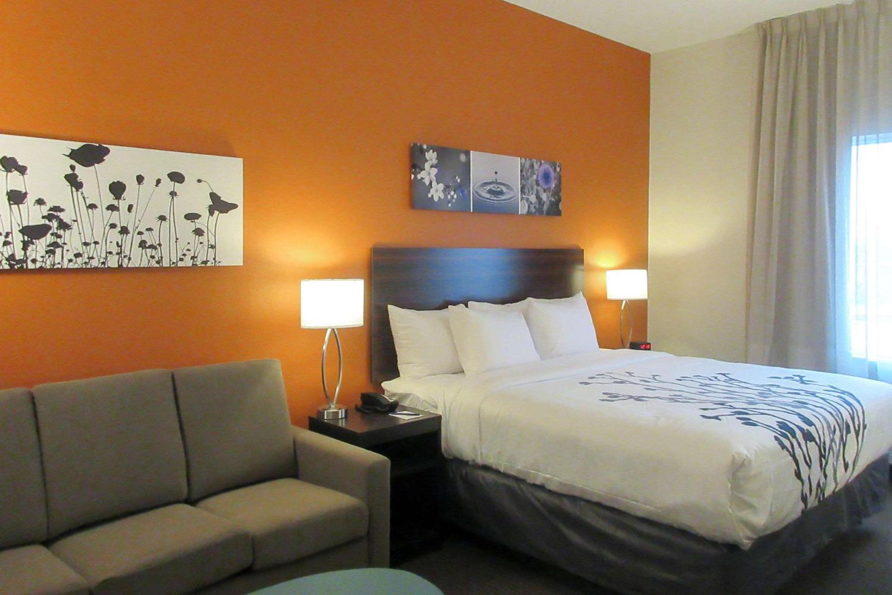 King Suite with Sofa Bed - Non-Smoking photo 1