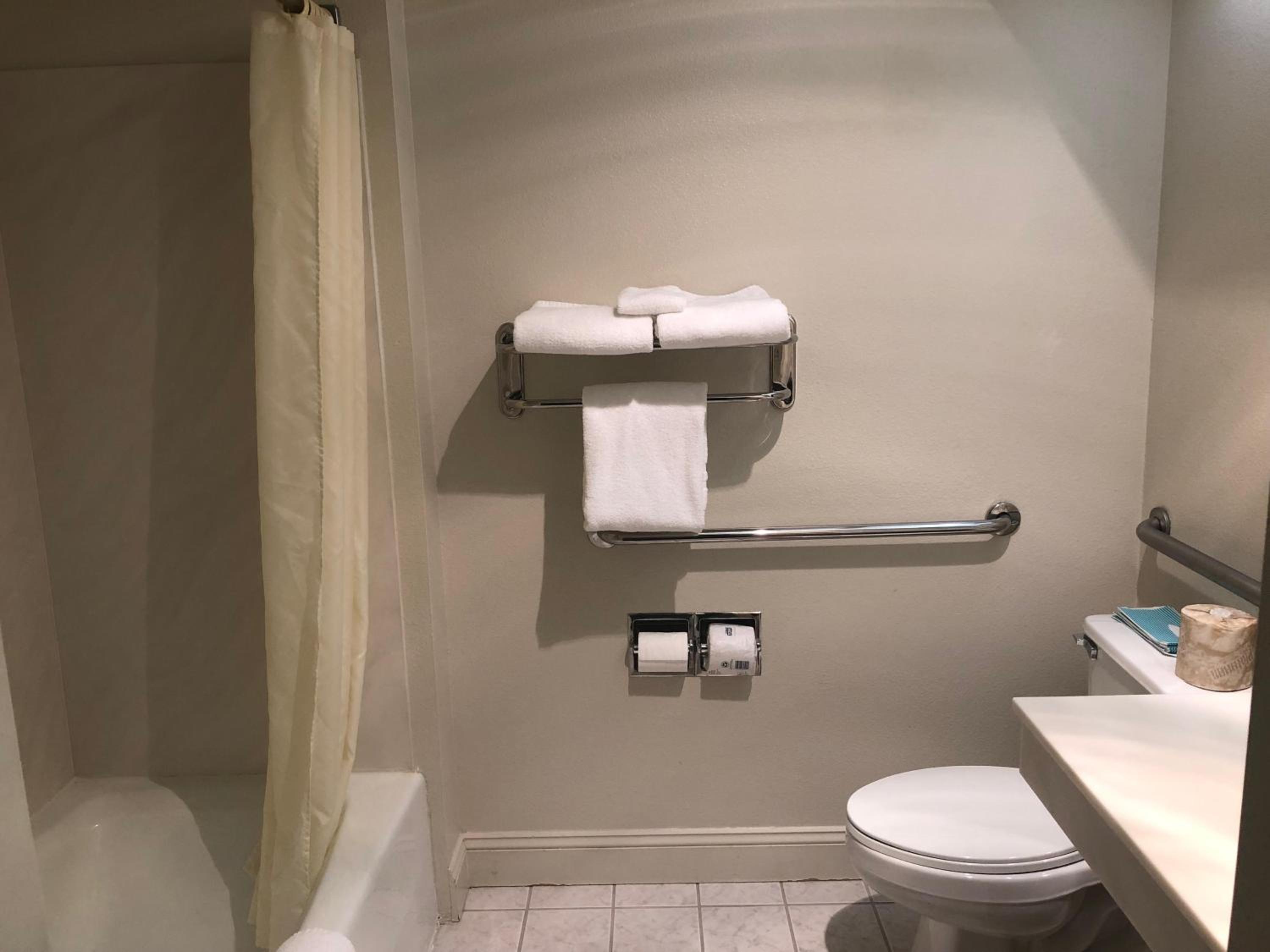Deluxe King Suite - Photo 3