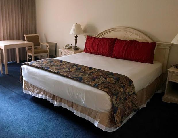 Deluxe King Suite - Photo 6