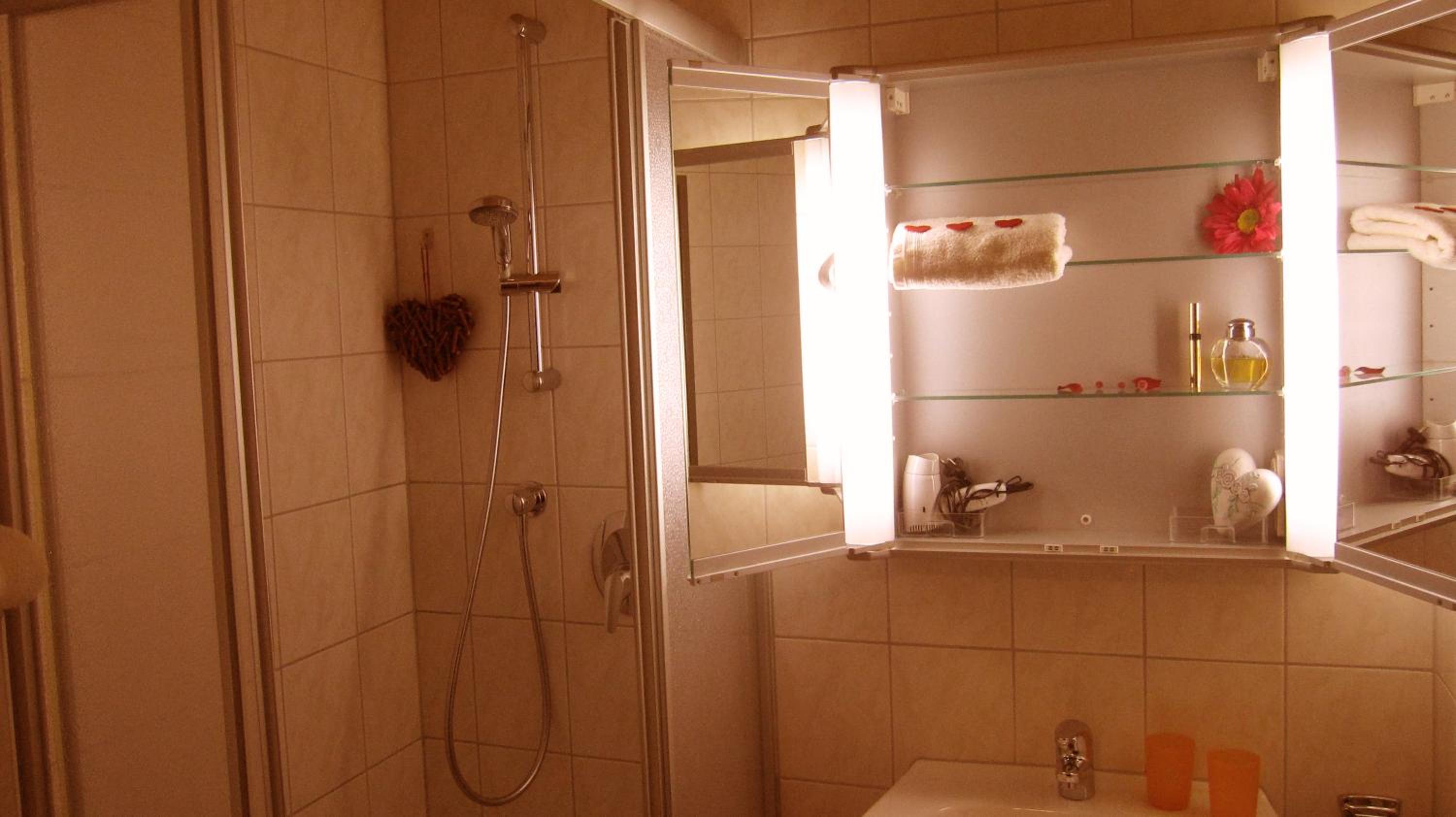 Apartment Hohe Munde photo 3