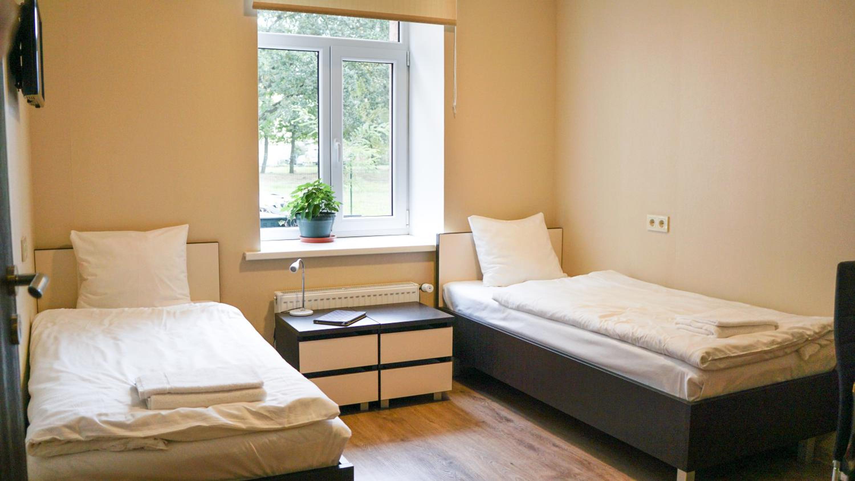 Triple Room with Three Single Beds photo 1