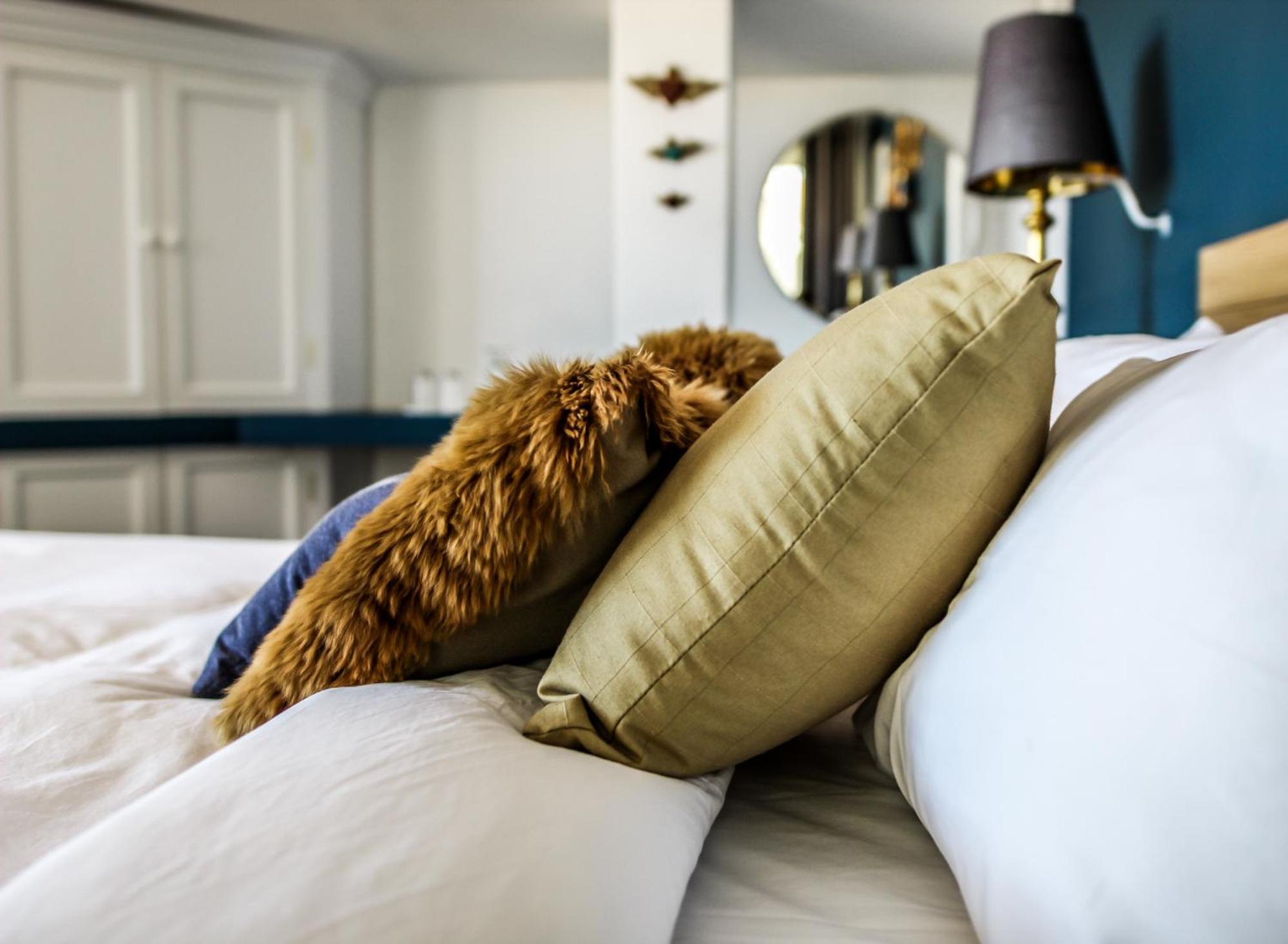 Deluxe Suite photo 2