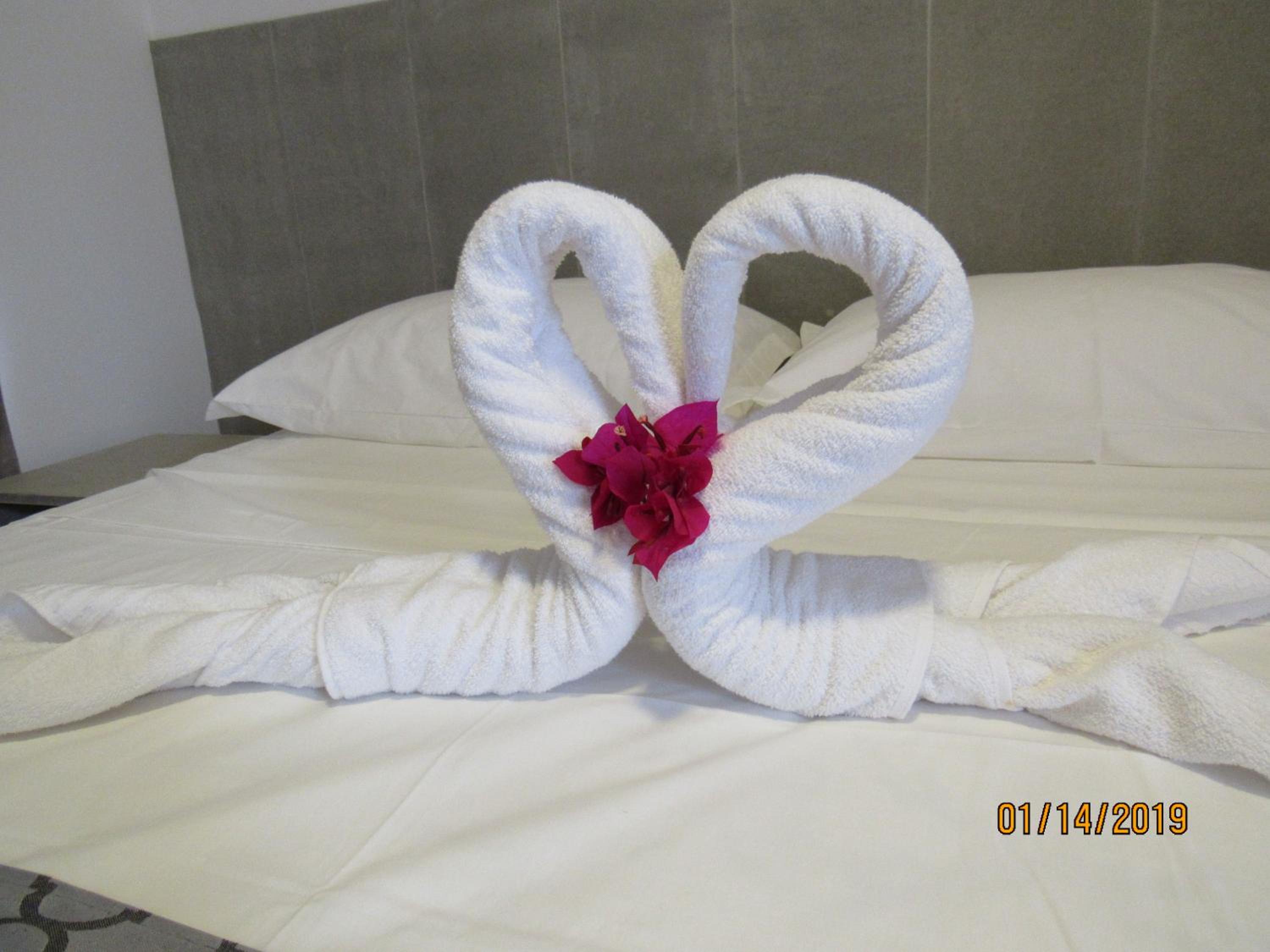 Deluxe Double Room with Balcony photo 2