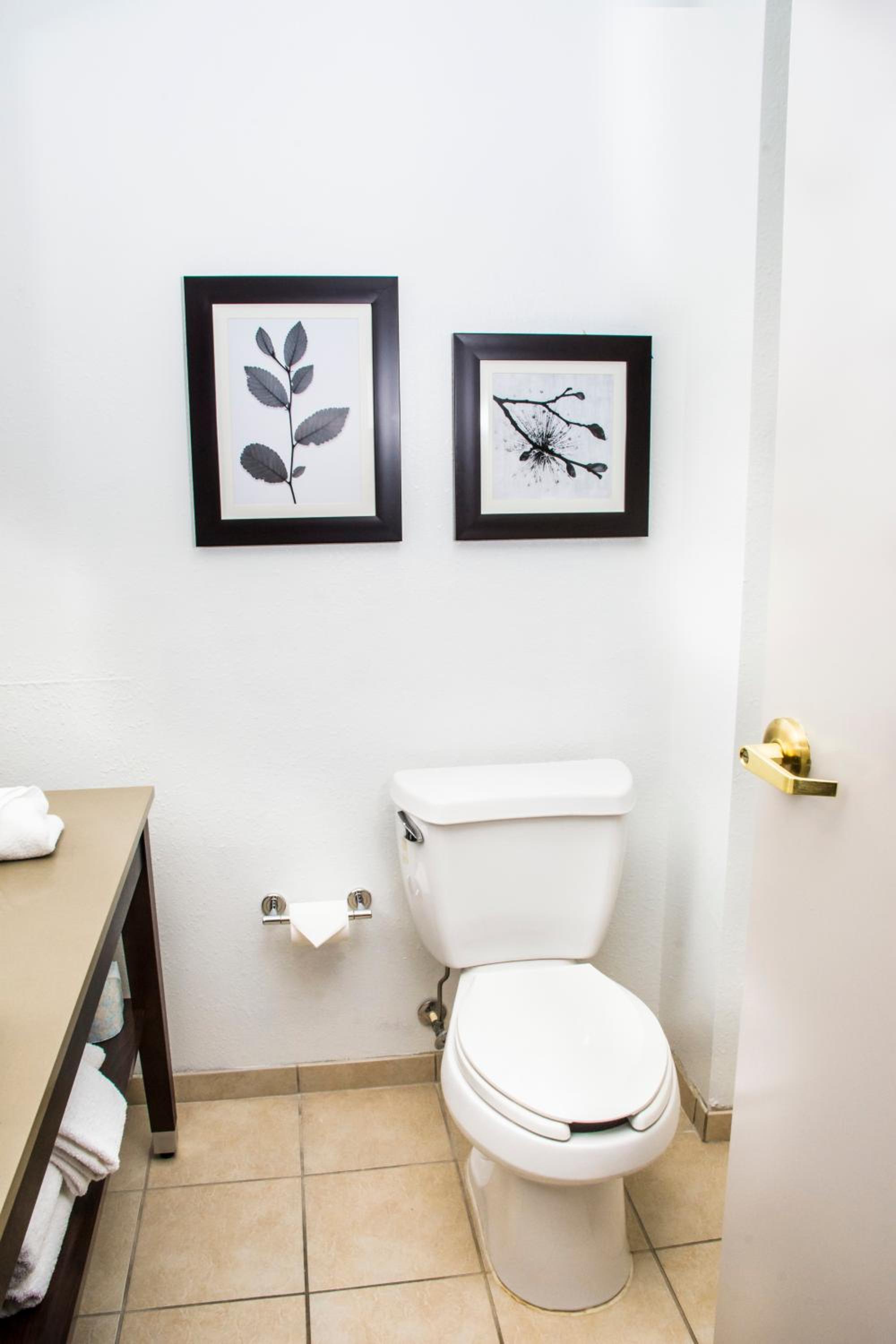 King Studio Suite - Non-Smoking - Photo 12