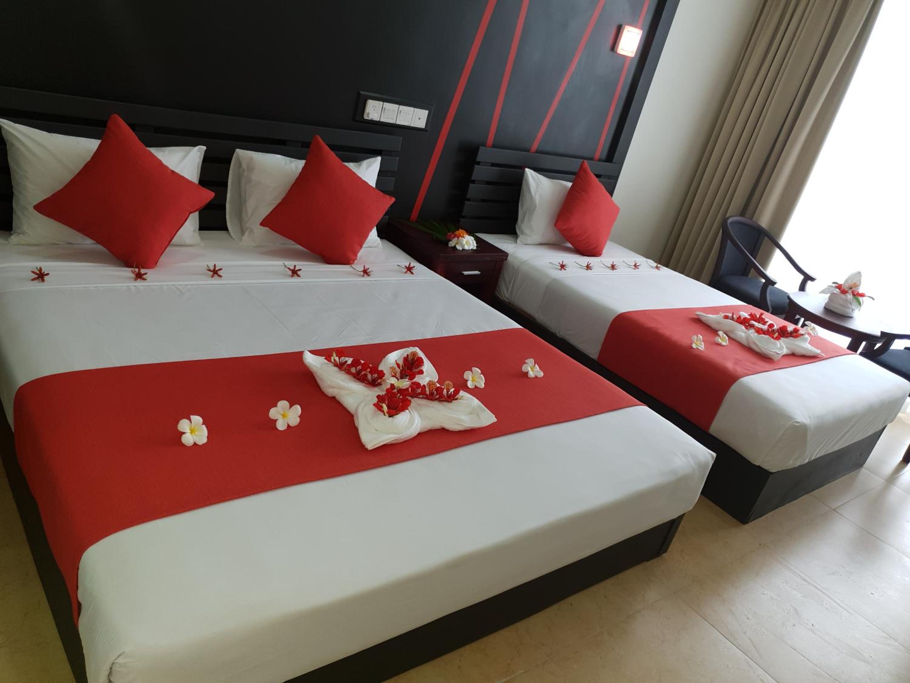 Deluxe Queen Room photo 4