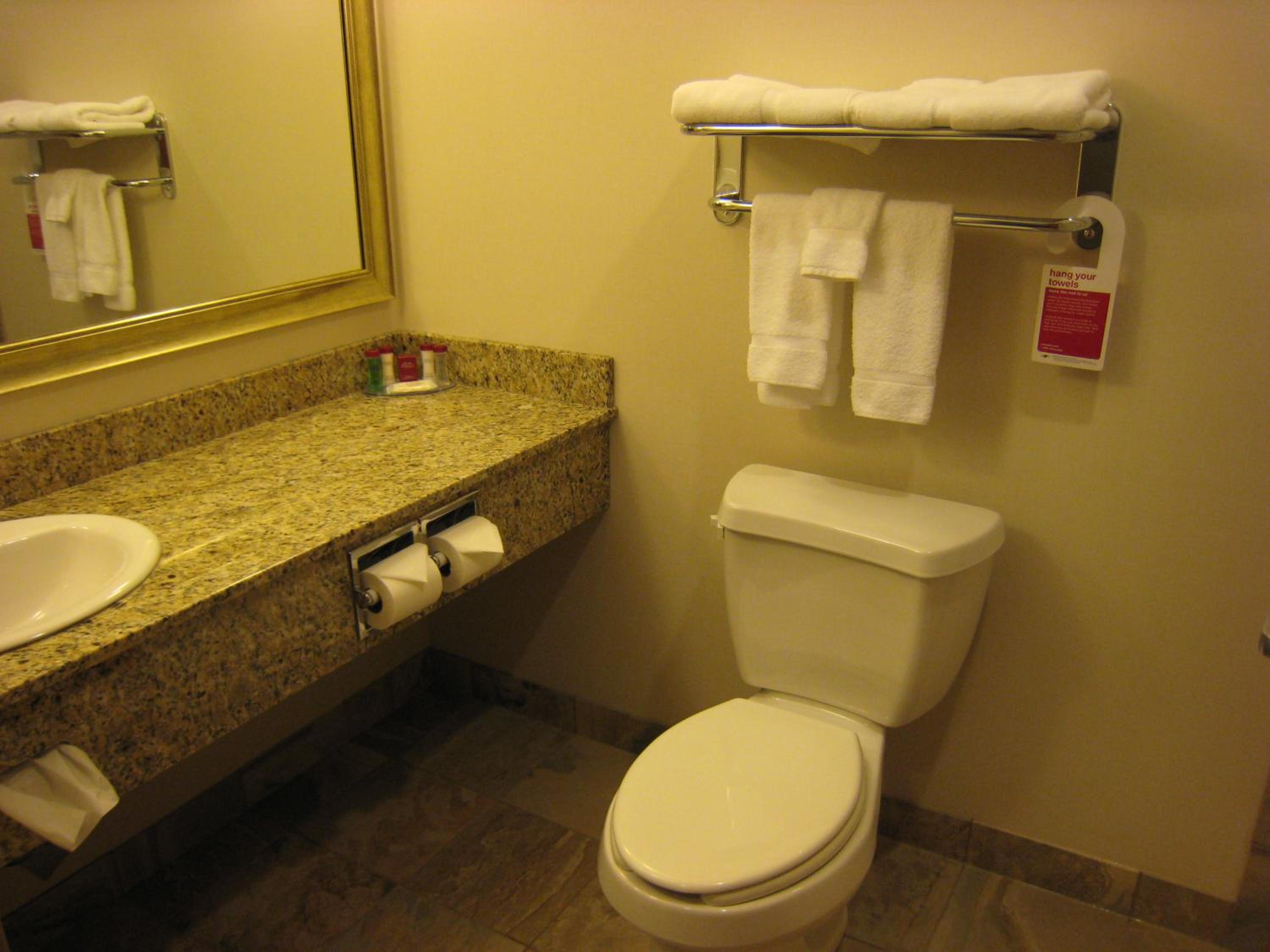 Deluxe King Suite - Photo 10